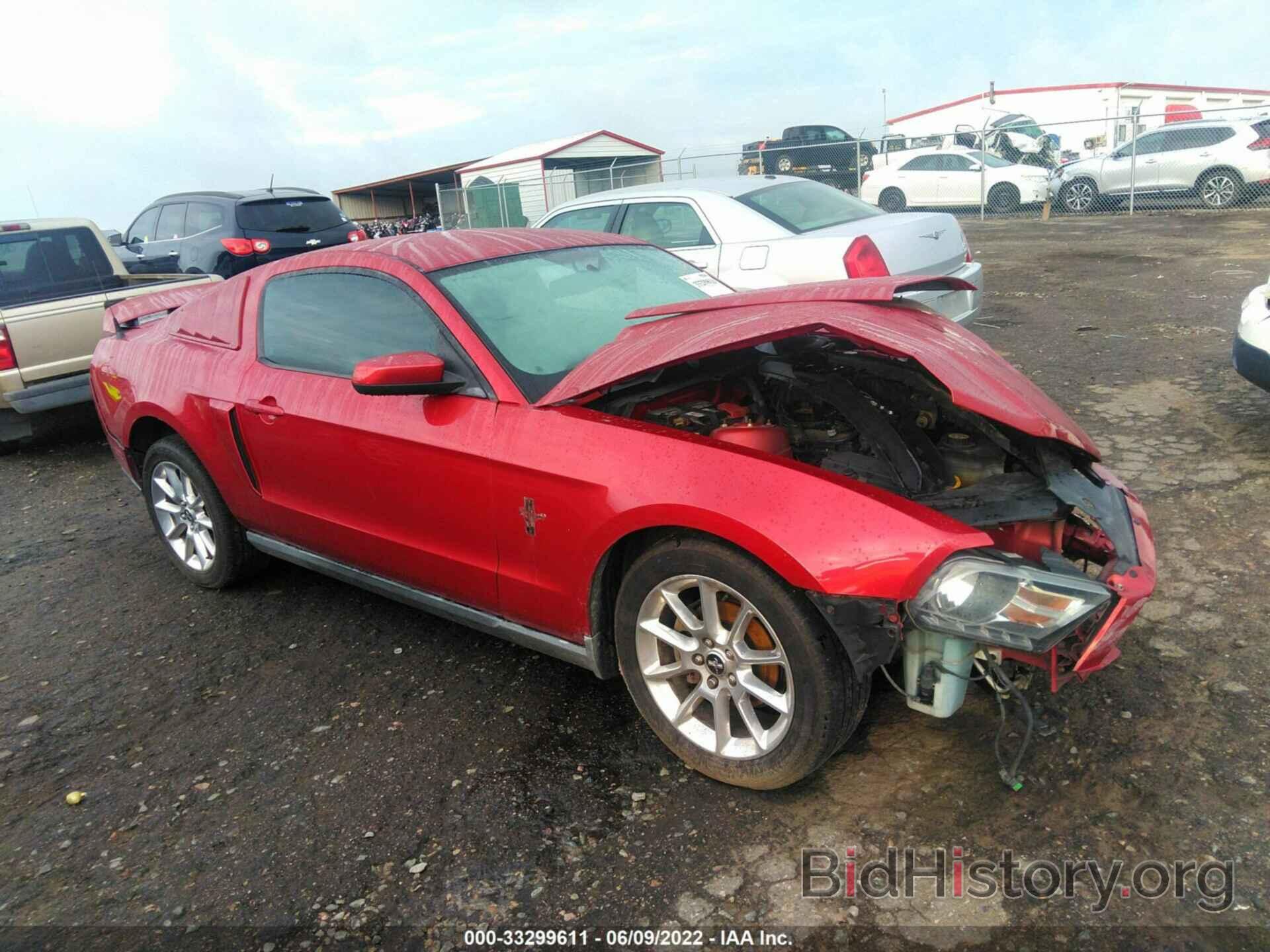 Photo 1ZVBP8AN0A5124137 - FORD MUSTANG 2010