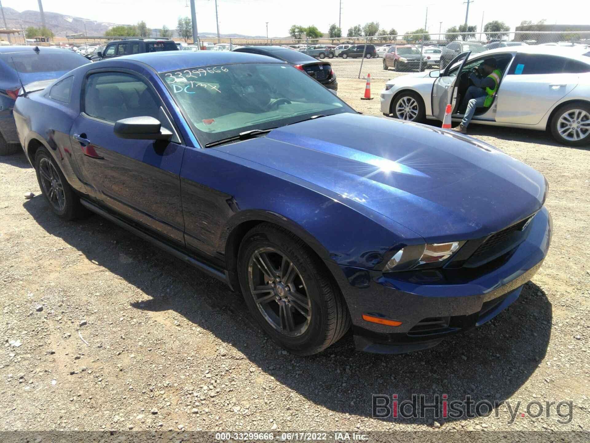 Photo 1ZVBP8AN0A5119469 - FORD MUSTANG 2010