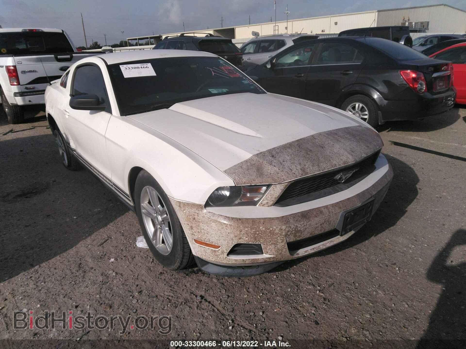 Фотография 1ZVBP8AM5C5221456 - FORD MUSTANG 2012