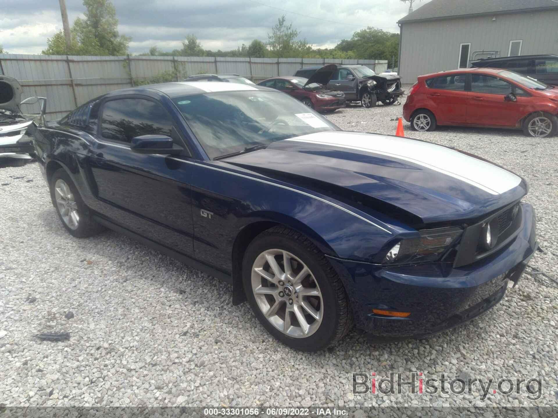 Photo 1ZVBP8CH7A5177411 - FORD MUSTANG 2010