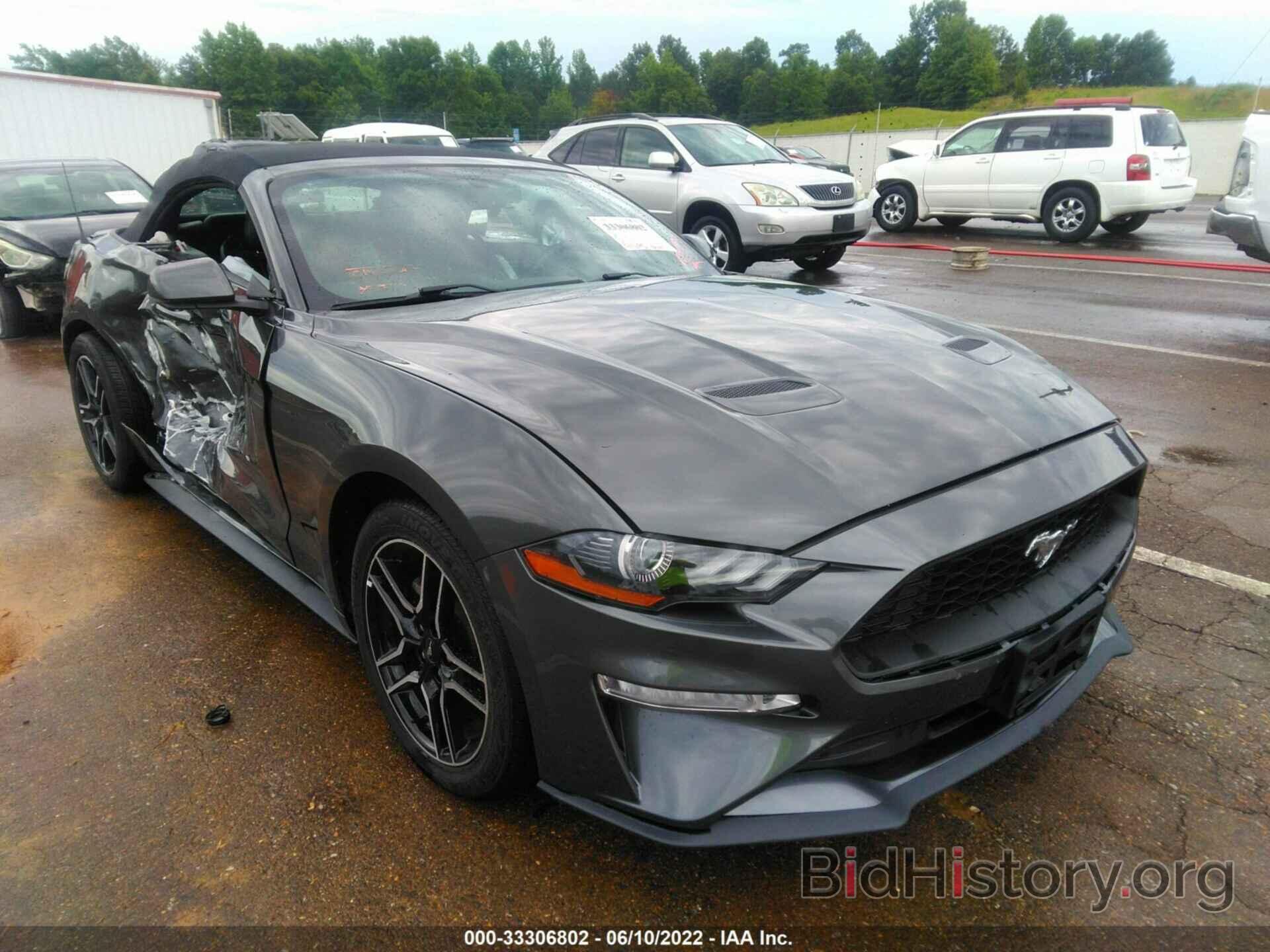 Photo 1FATP8UH6K5151900 - FORD MUSTANG 2019