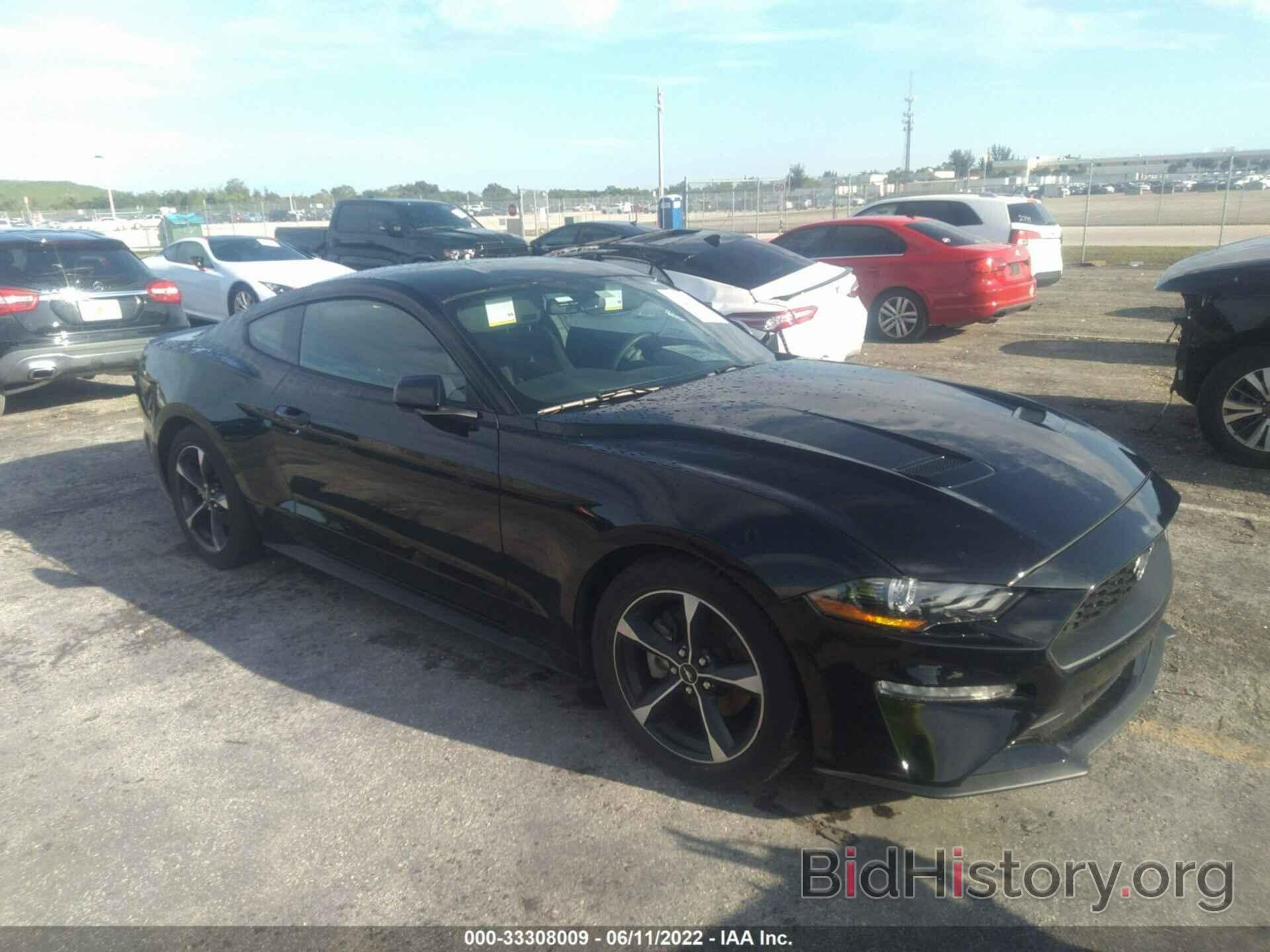 Photo 1FA6P8TH4K5187437 - FORD MUSTANG 2019