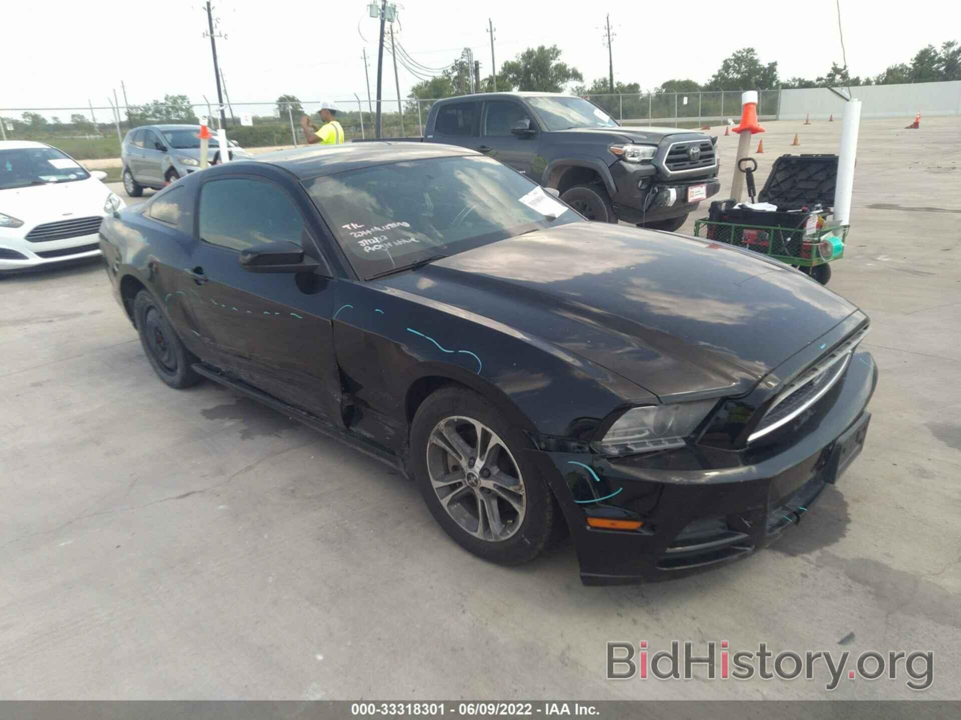 Photo 1ZVBP8AM0E5264766 - FORD MUSTANG 2014
