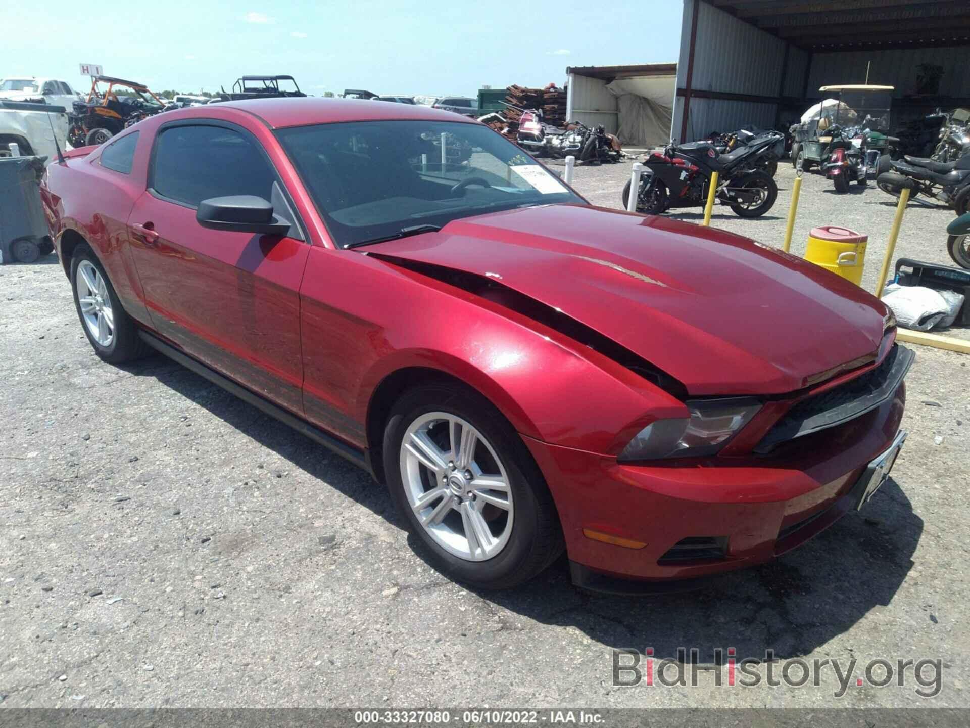Photo 1ZVBP8AN9A5111807 - FORD MUSTANG 2010