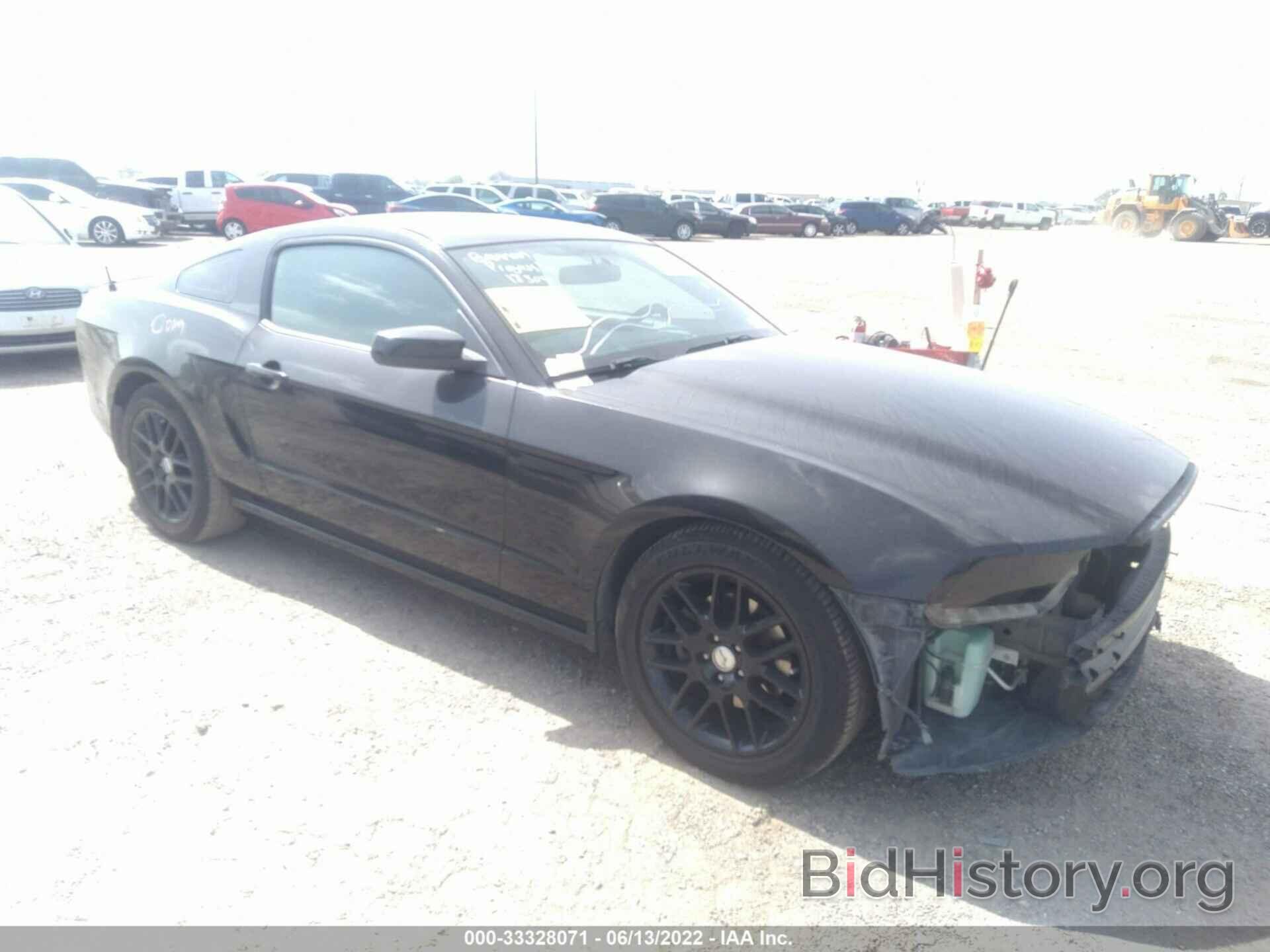 Photo 1ZVBP8AM7E5316197 - FORD MUSTANG 2014