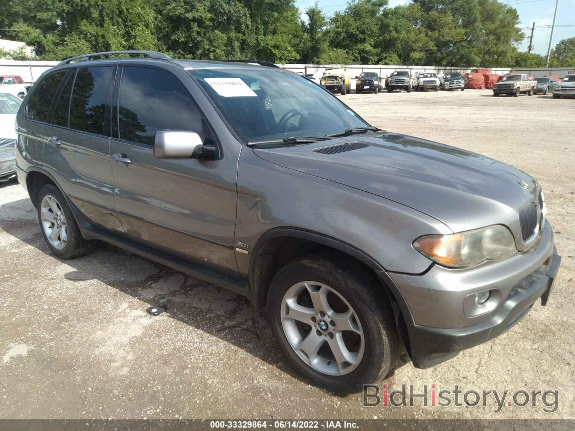 Photo 5UXFA13546LY36193 - BMW X5 2006