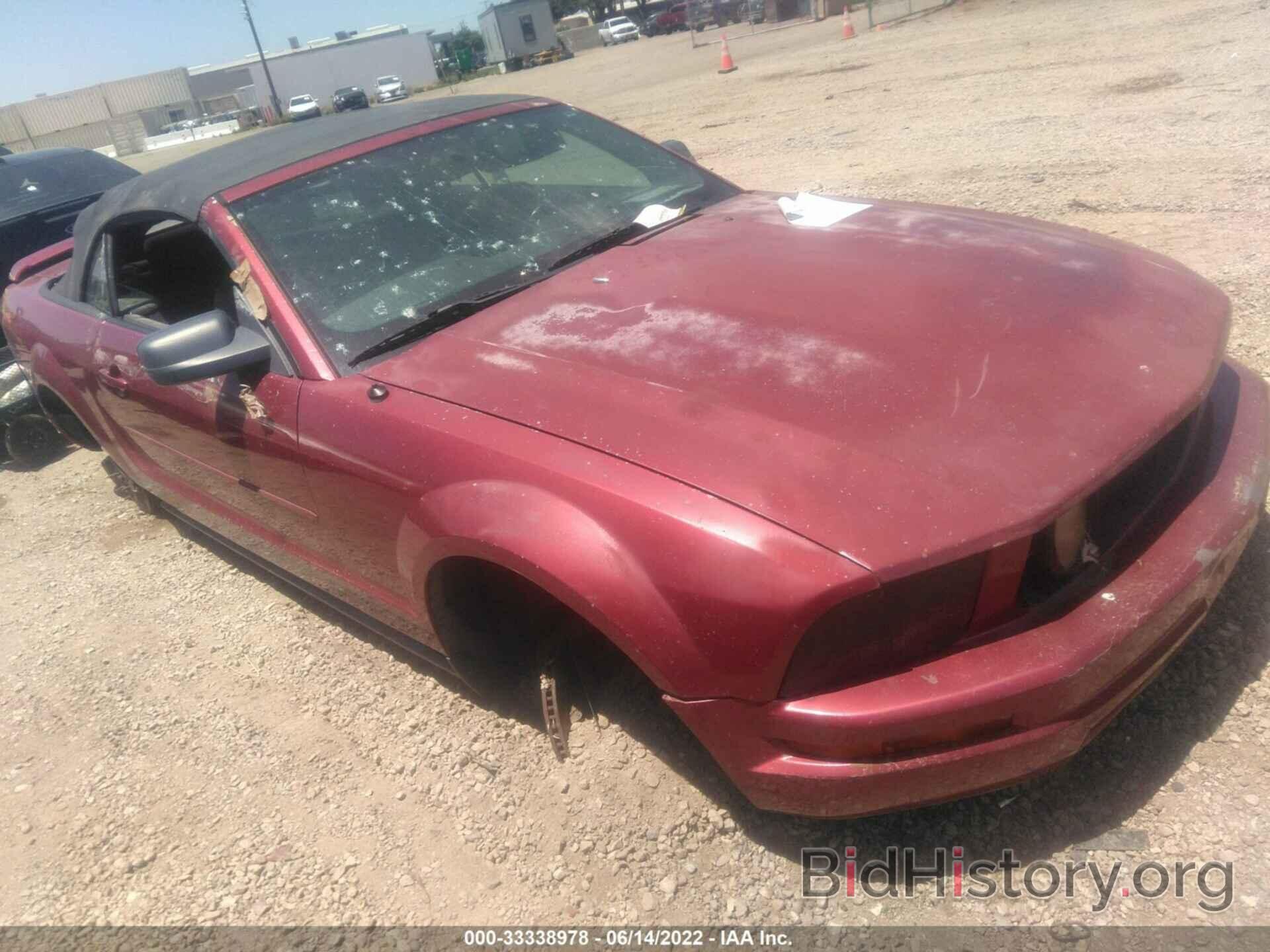 Photo 1ZVFT84N965190007 - FORD MUSTANG 2006