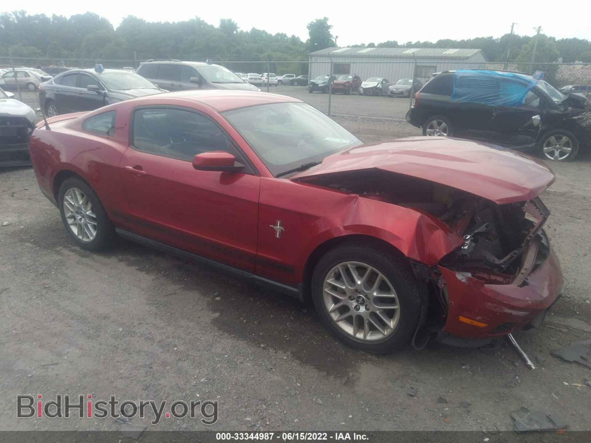 Фотография 1ZVBP8AM1C5277720 - FORD MUSTANG 2012