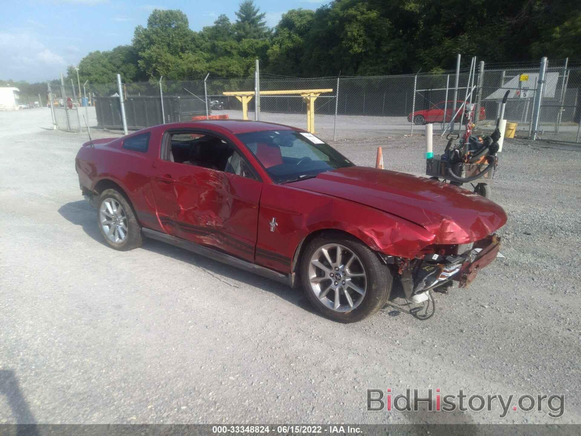 Photo 1ZVBP8AN6A5117211 - FORD MUSTANG 2010