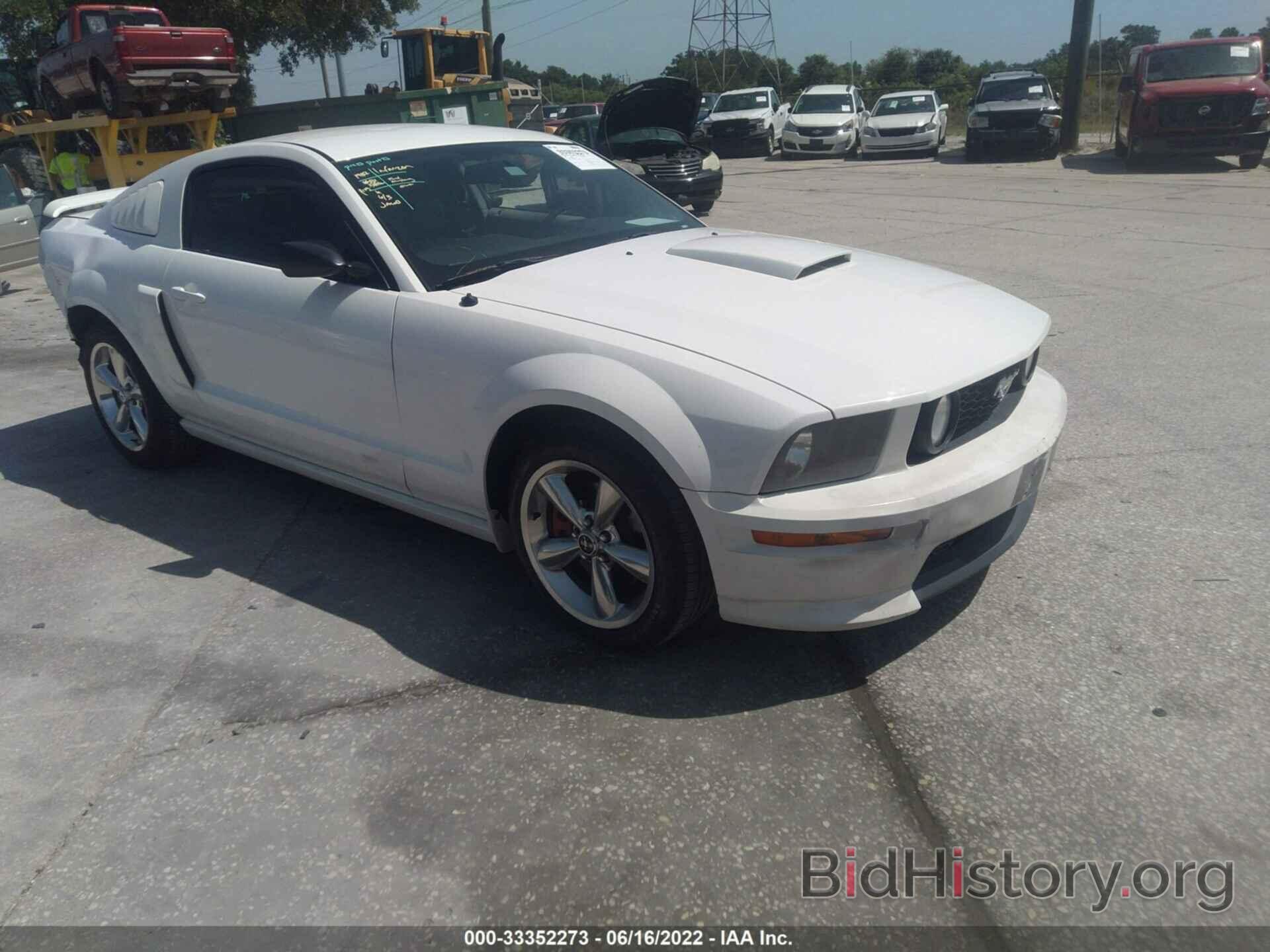 Photo 1ZVHT82H295106118 - FORD MUSTANG 2009