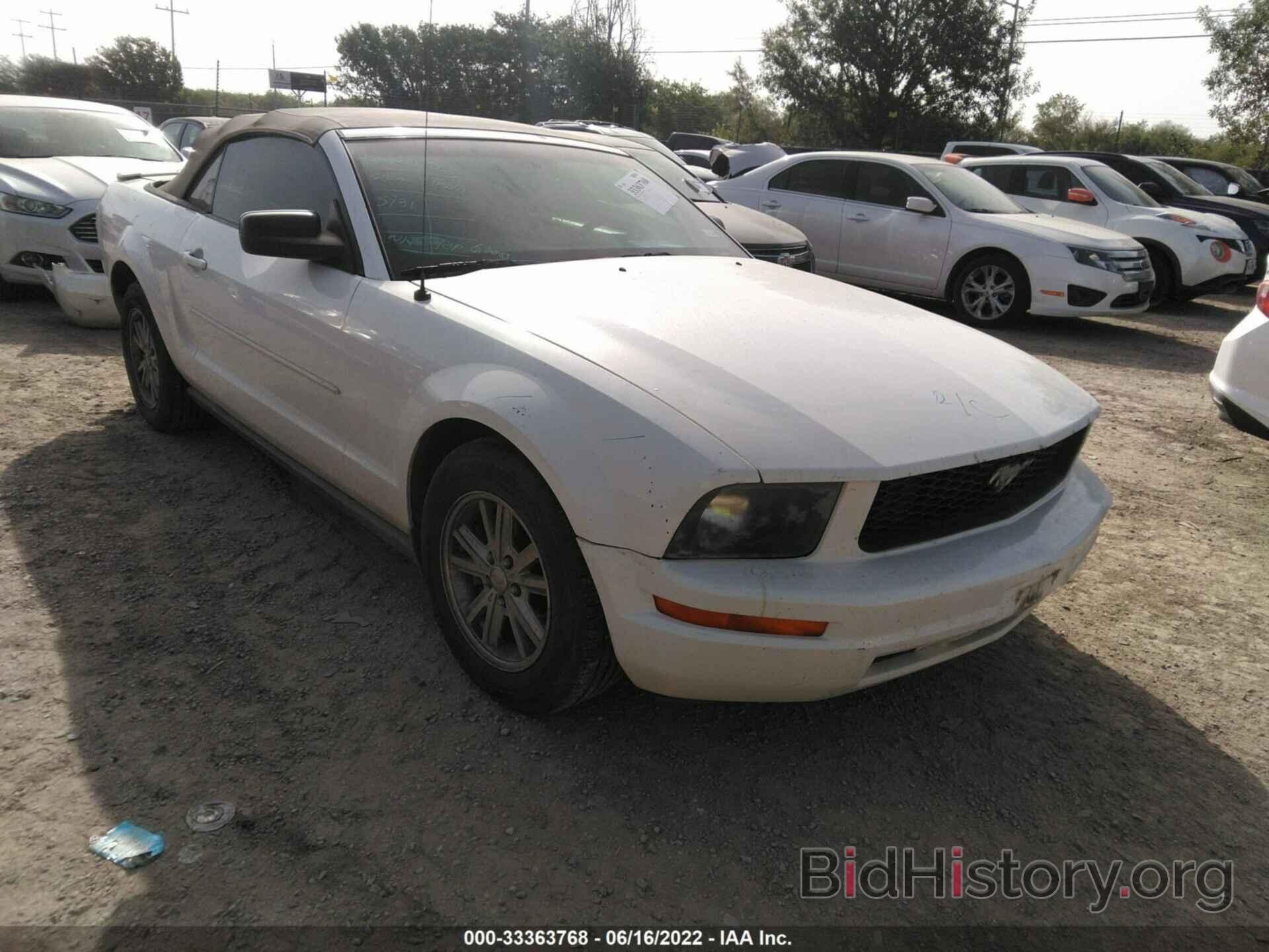 Photo 1ZVFT84N675296125 - FORD MUSTANG 2007