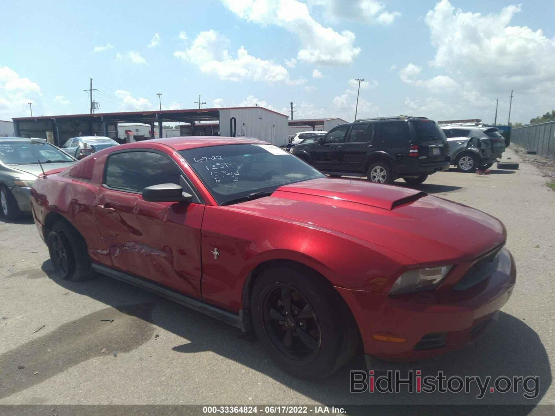 Photo 1ZVBP8AN2A5135947 - FORD MUSTANG 2010