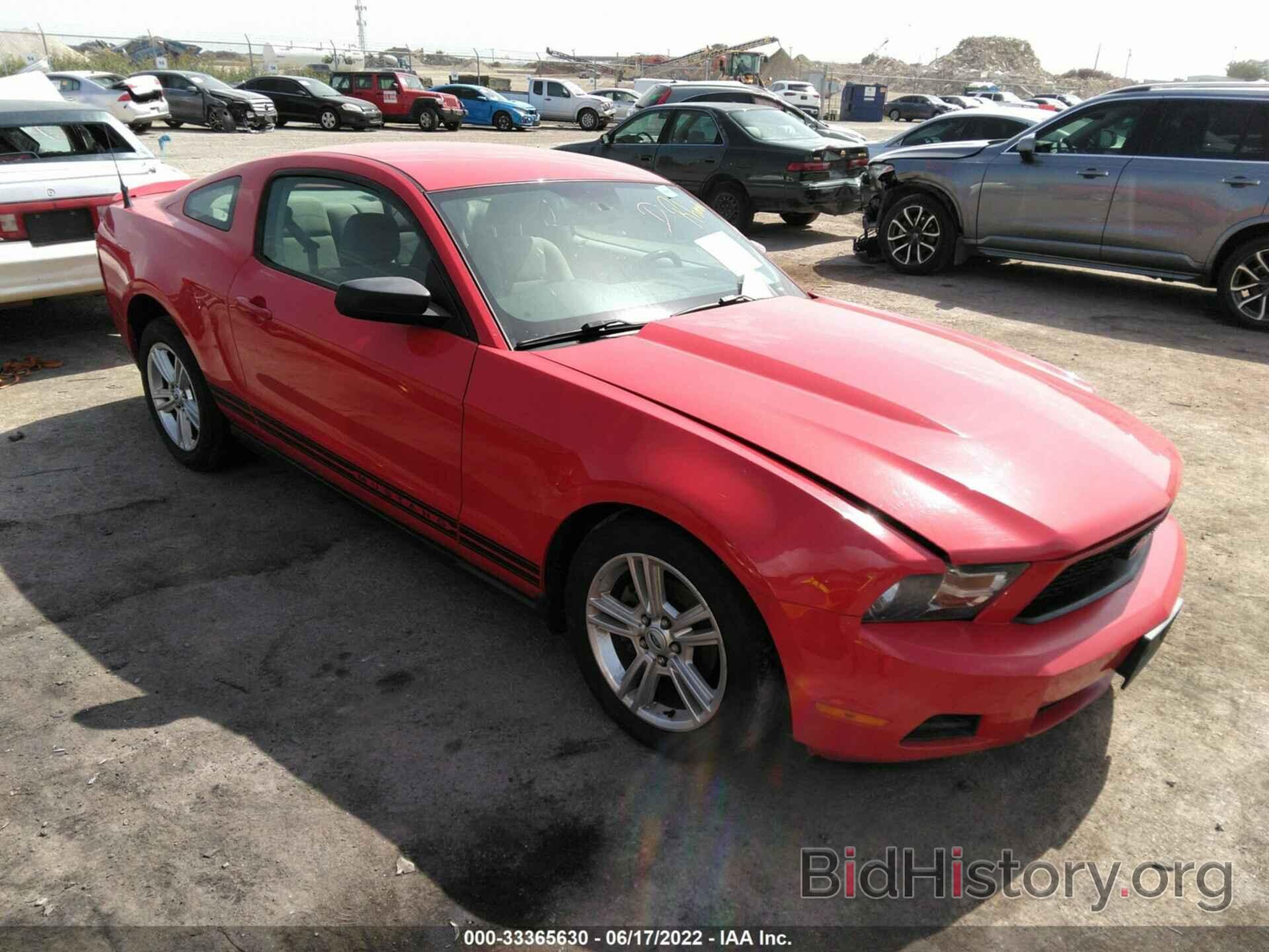 Photo 1ZVBP8AN6A5130895 - FORD MUSTANG 2010