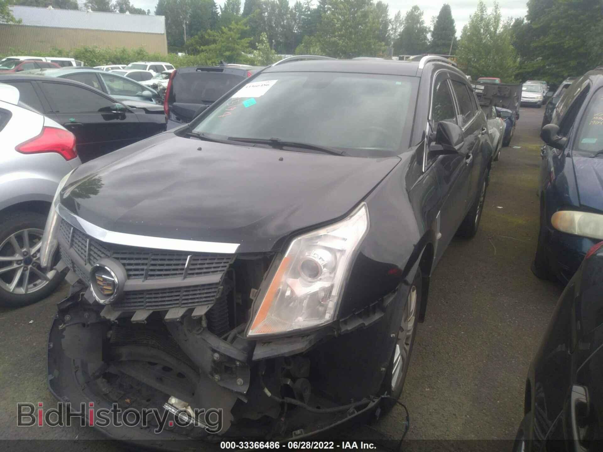 2011 CADILLAC SRX - VIN: 3GYFNDEY9BS674316 - Фото 2