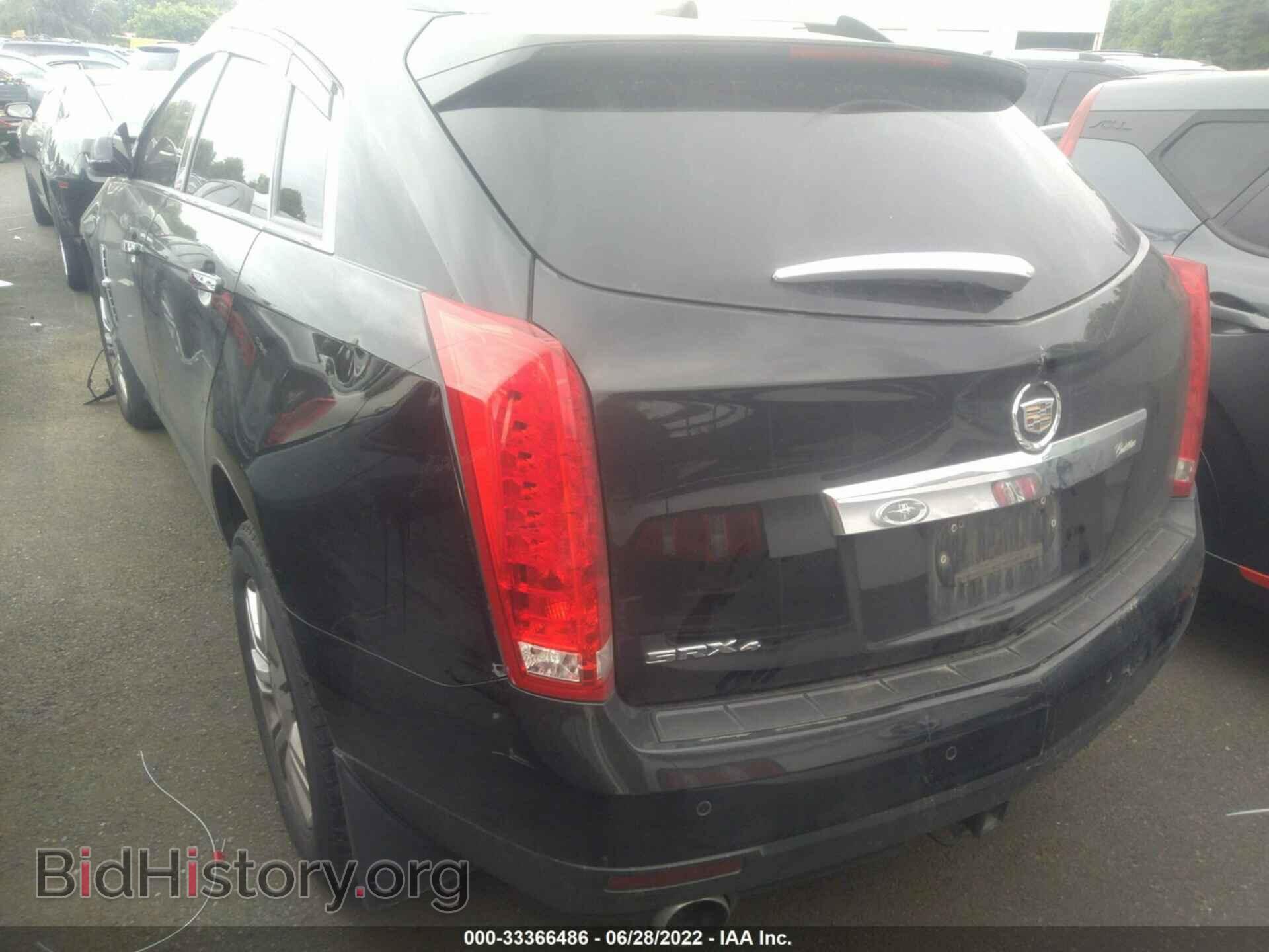 2011 CADILLAC SRX - VIN: 3GYFNDEY9BS674316 - Фото 3