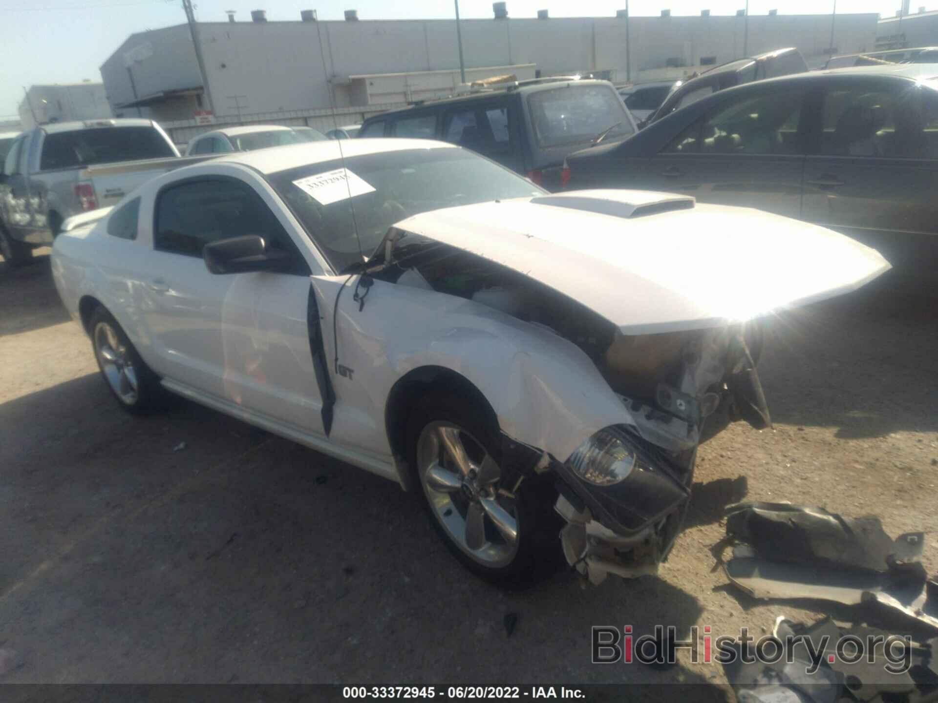 Photo 1ZVHT82H885194543 - FORD MUSTANG 2008