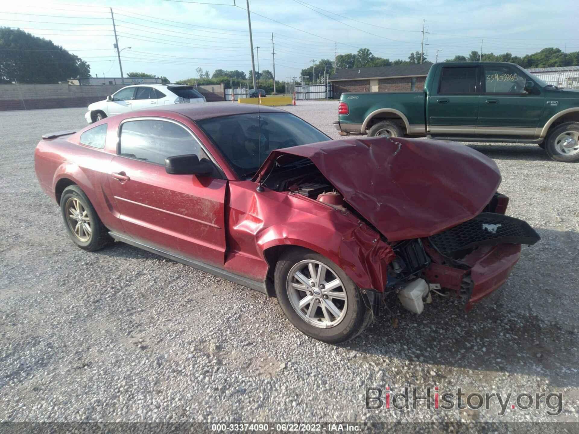 Photo 1ZVHT80N885207686 - FORD MUSTANG 2008
