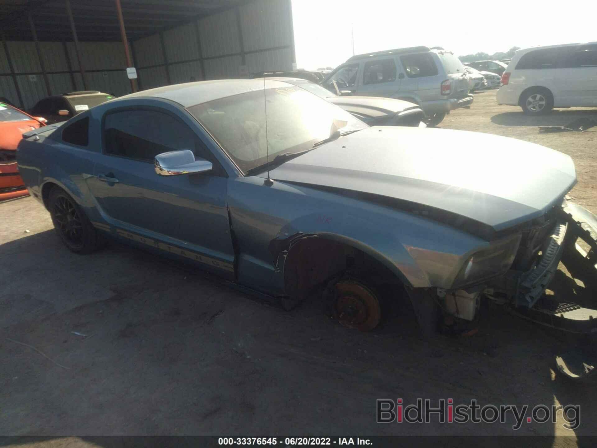 Photo 1ZVHT80NX85114667 - FORD MUSTANG 2008