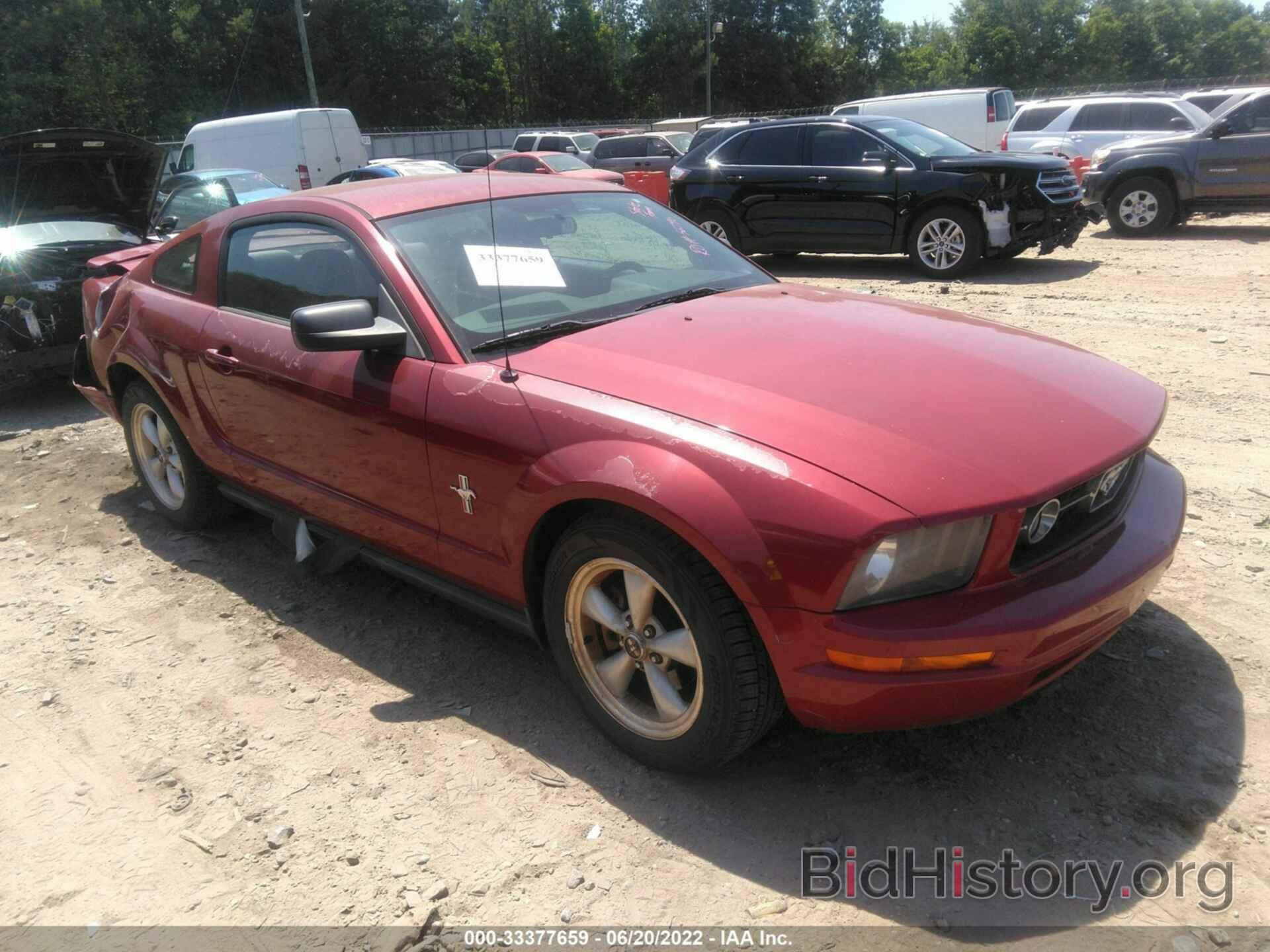 Photo 1ZVHT80N785125626 - FORD MUSTANG 2008