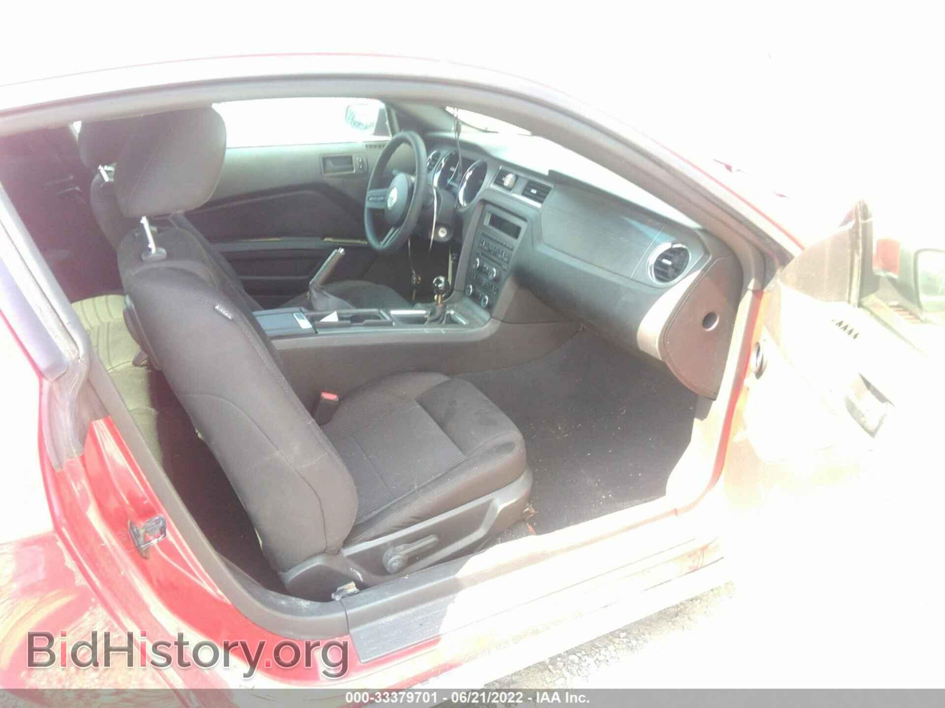 2010 FORD MUSTANG - VIN: 1ZVBP8CH5A5121046 - Фото 5