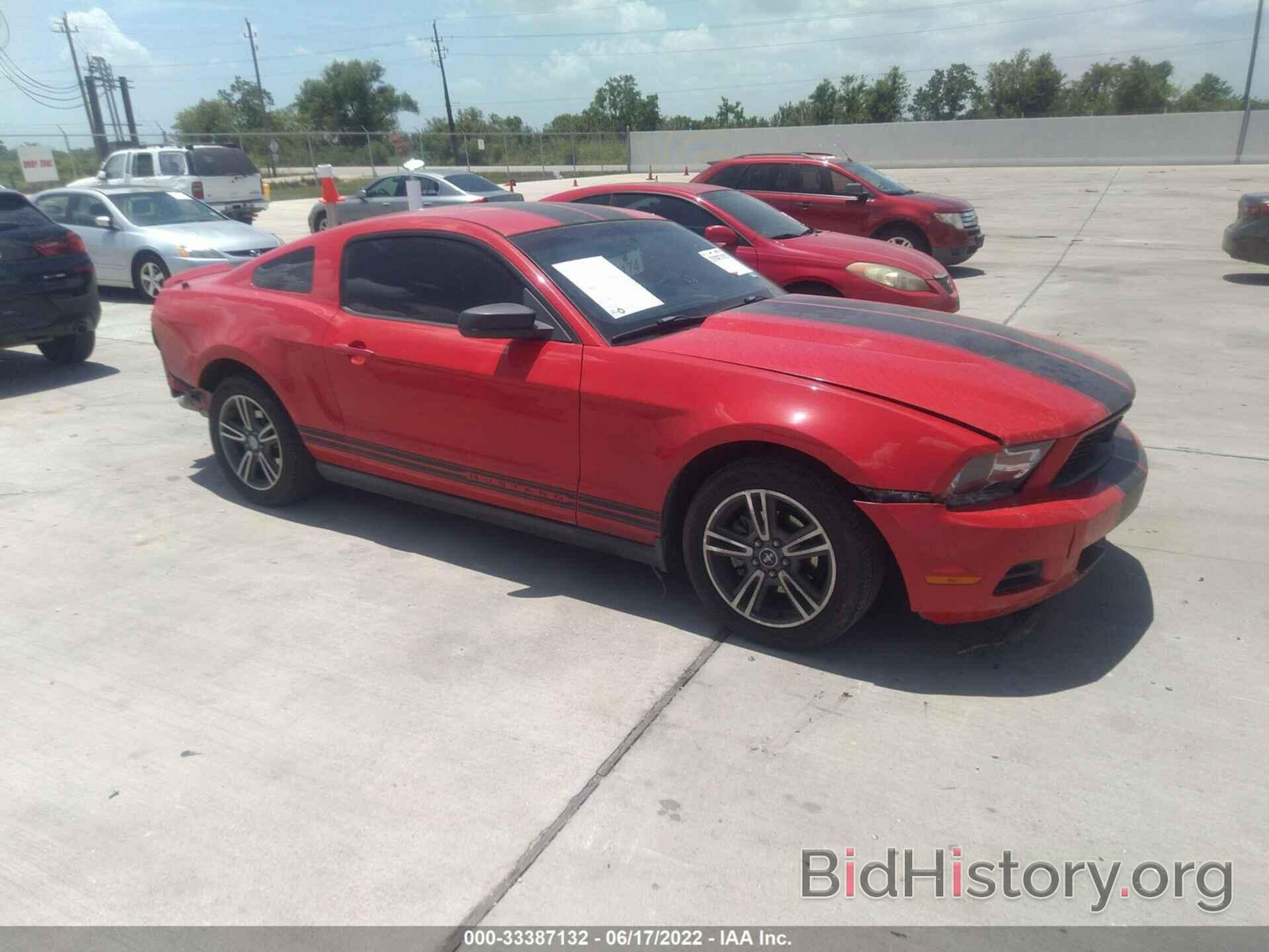 Photo 1ZVBP8AN6A5108895 - FORD MUSTANG 2010