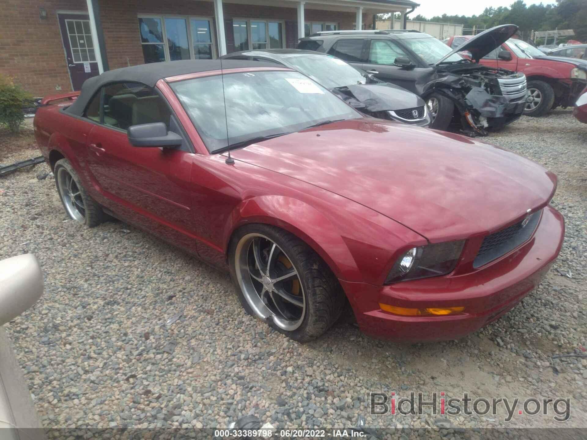 Photo 1ZVFT84N465254681 - FORD MUSTANG 2006
