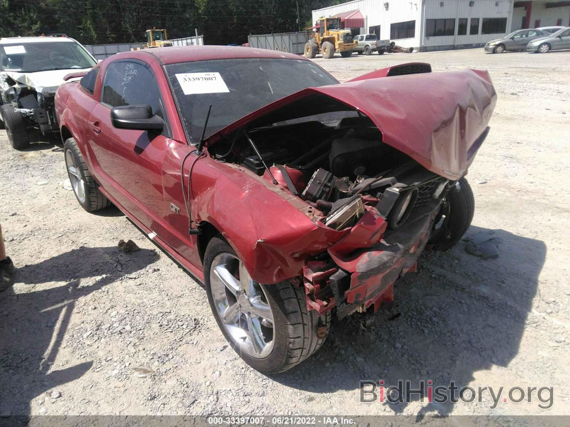 Photo 1ZVHT82H985122539 - FORD MUSTANG 2008