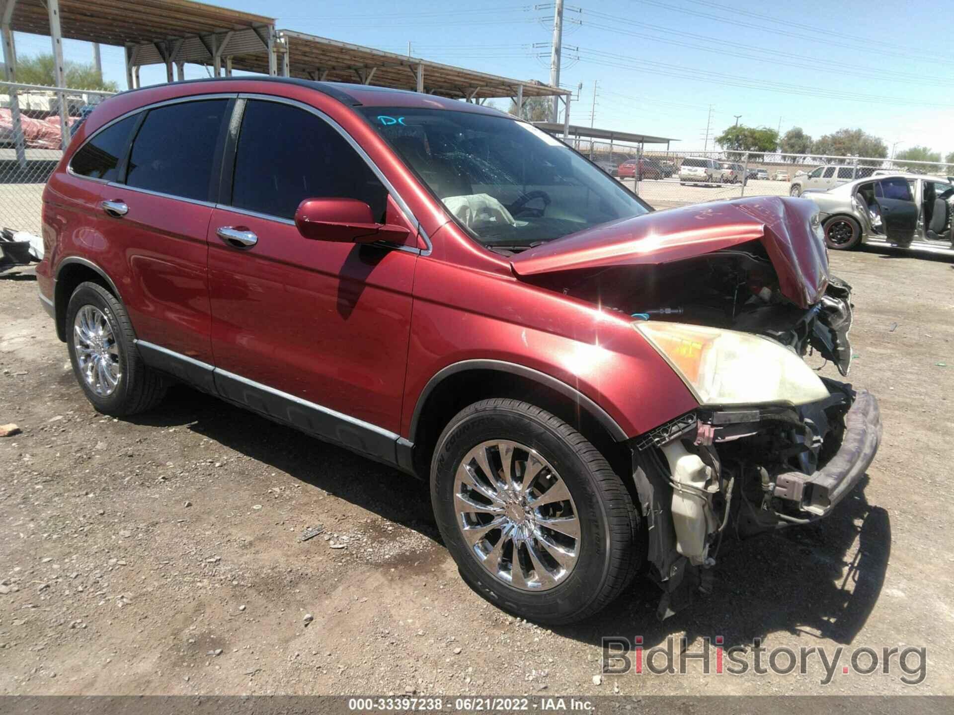 Photo JHLRE38748C036444 - HONDA CR-V 2008