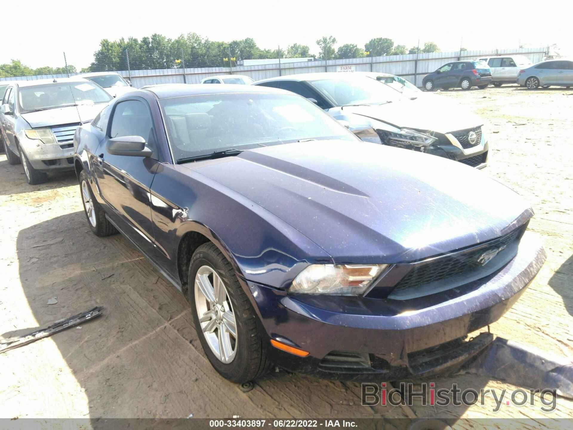 Photo 1ZVBP8AN8A5176809 - FORD MUSTANG 2010