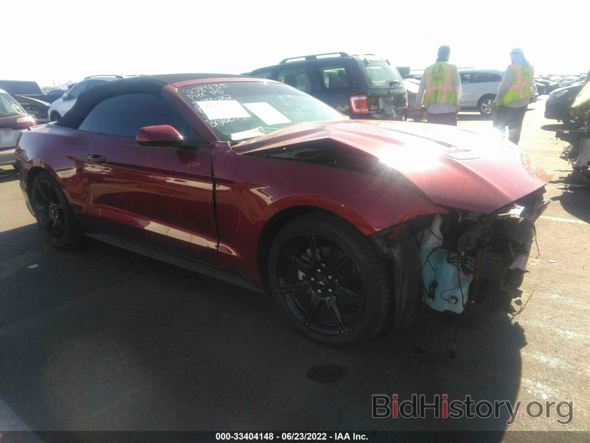 Photo 1FATP8UH9K5158100 - FORD MUSTANG 2019