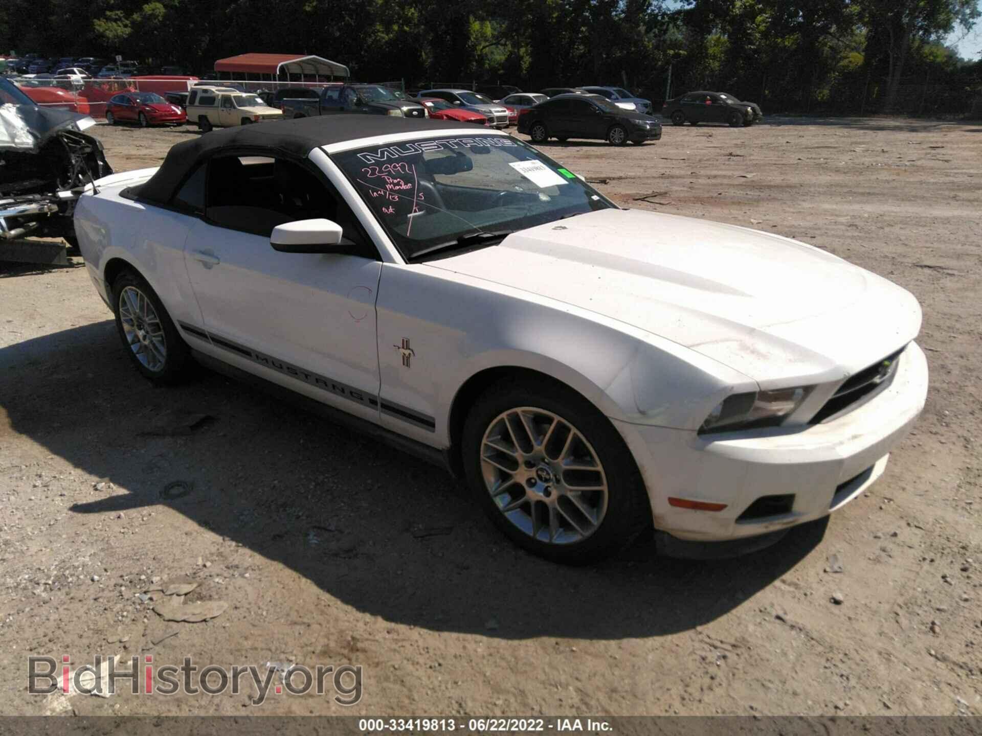 Photo 1ZVBP8EM8C5259385 - FORD MUSTANG 2012