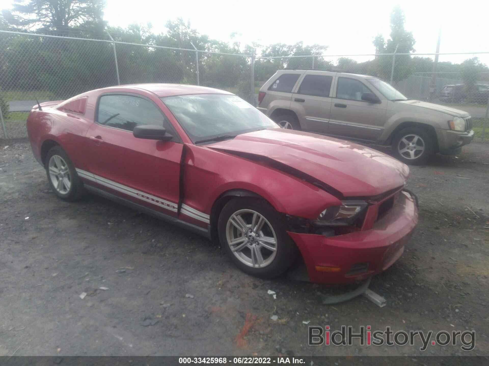 Photo 1ZVBP8AN5A5158090 - FORD MUSTANG 2010