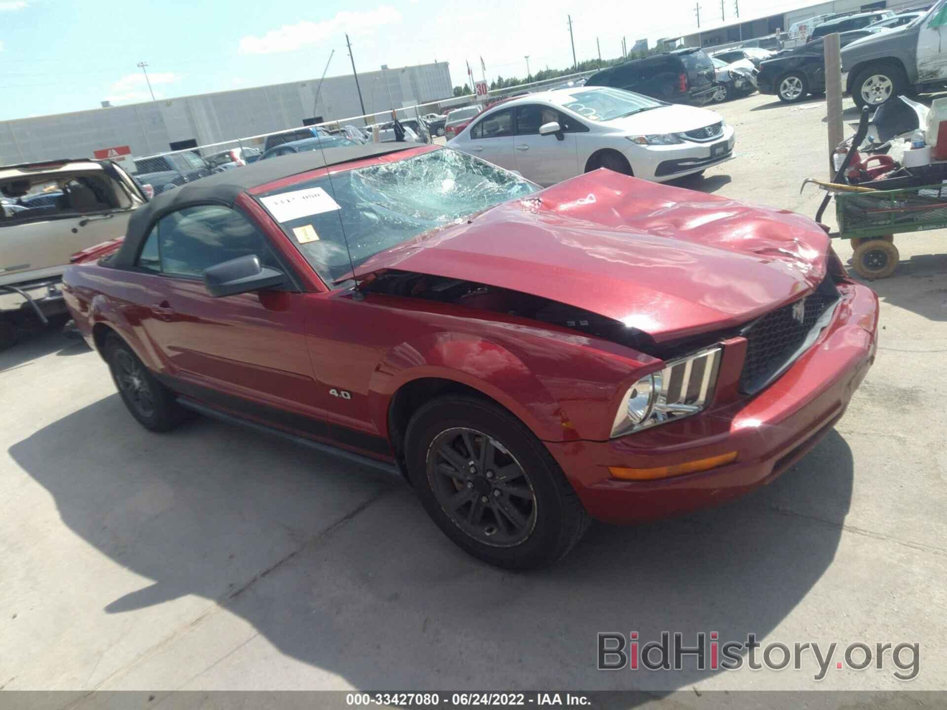 Photo 1ZVHT84N285134485 - FORD MUSTANG 2008