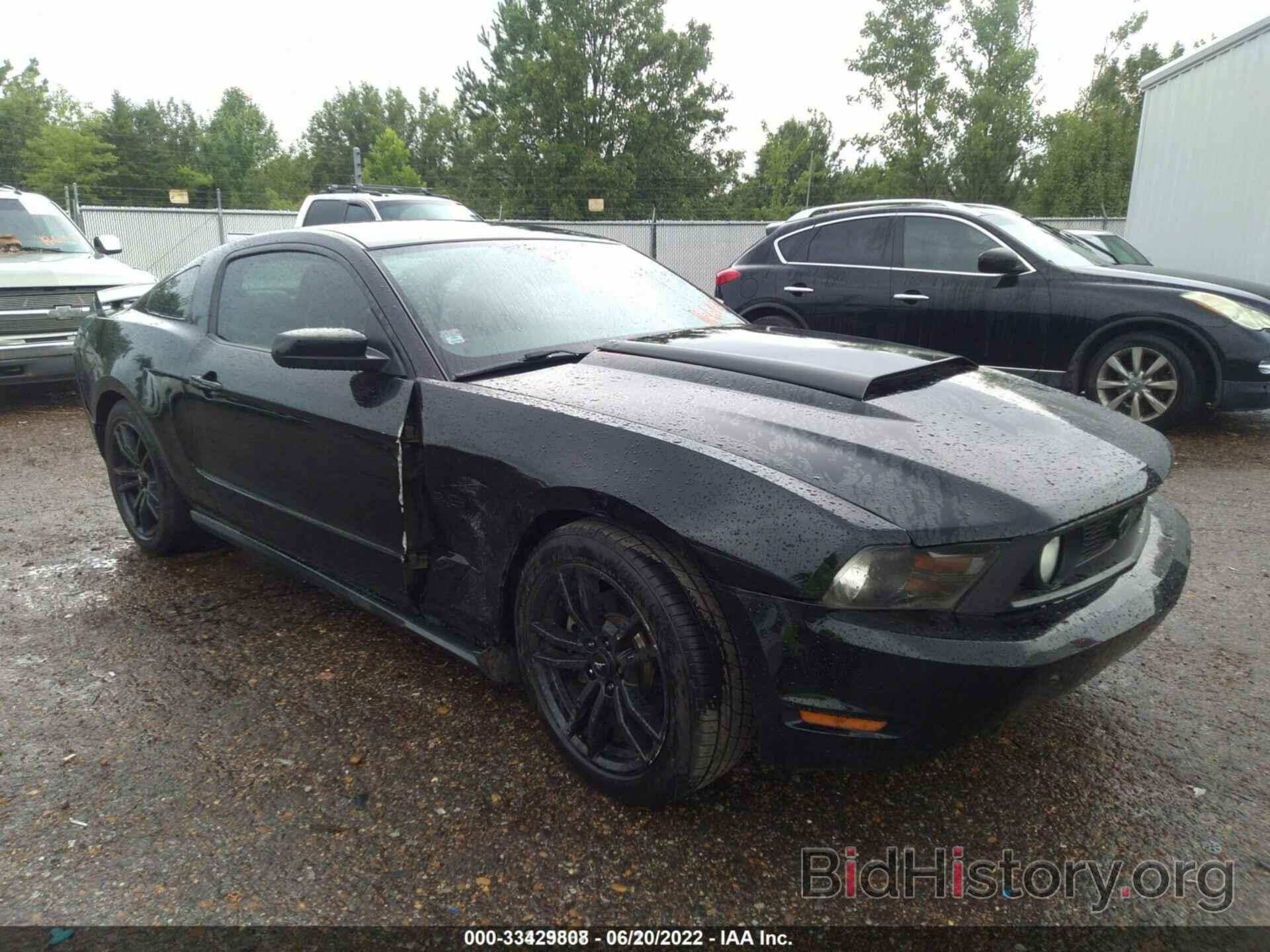 Photo 1ZVBP8CH6A5102697 - FORD MUSTANG 2010