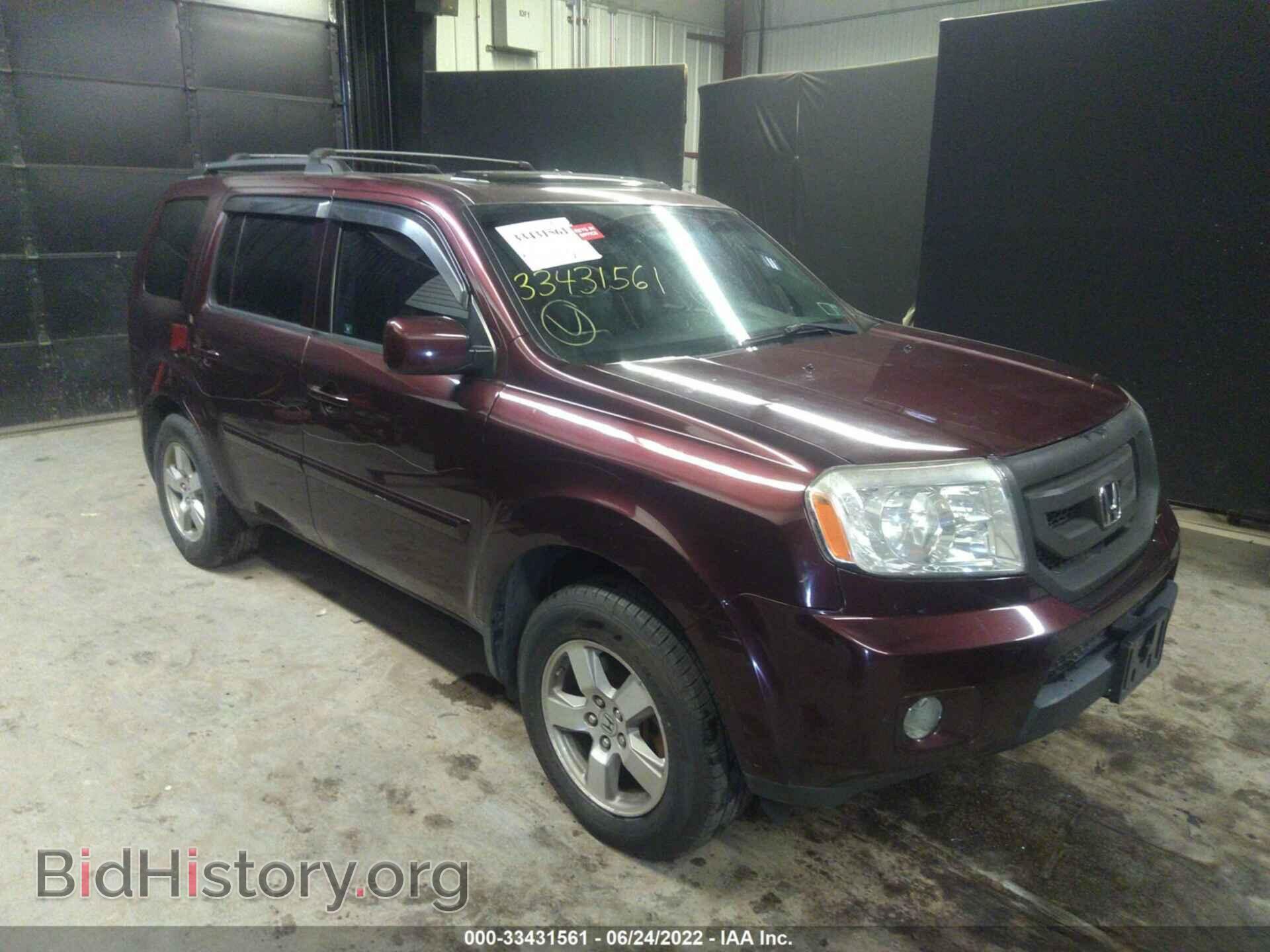 Фотография 5FNYF48579B006806 - HONDA PILOT 2009