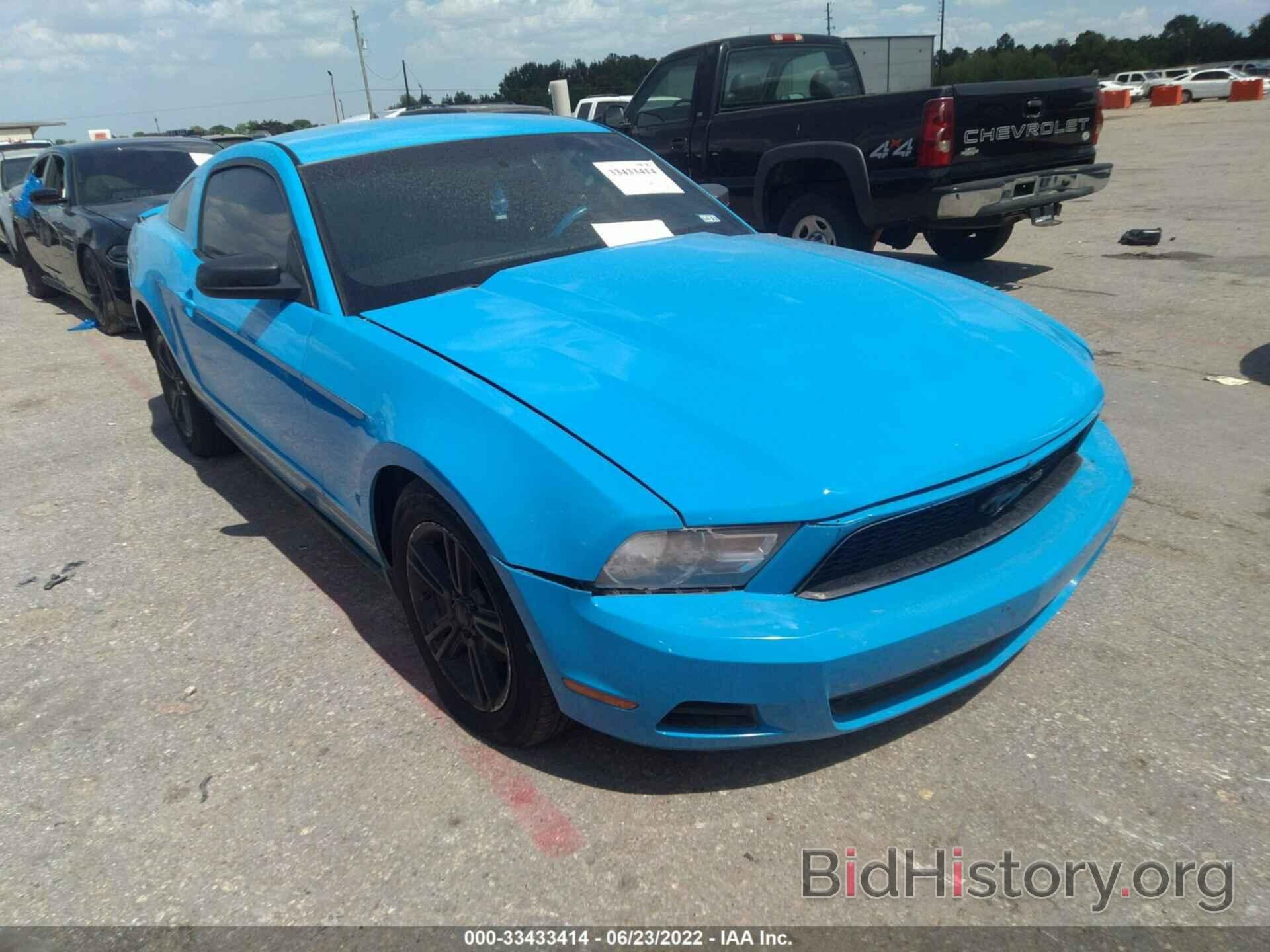Photo 1ZVBP8AN4A5146349 - FORD MUSTANG 2010