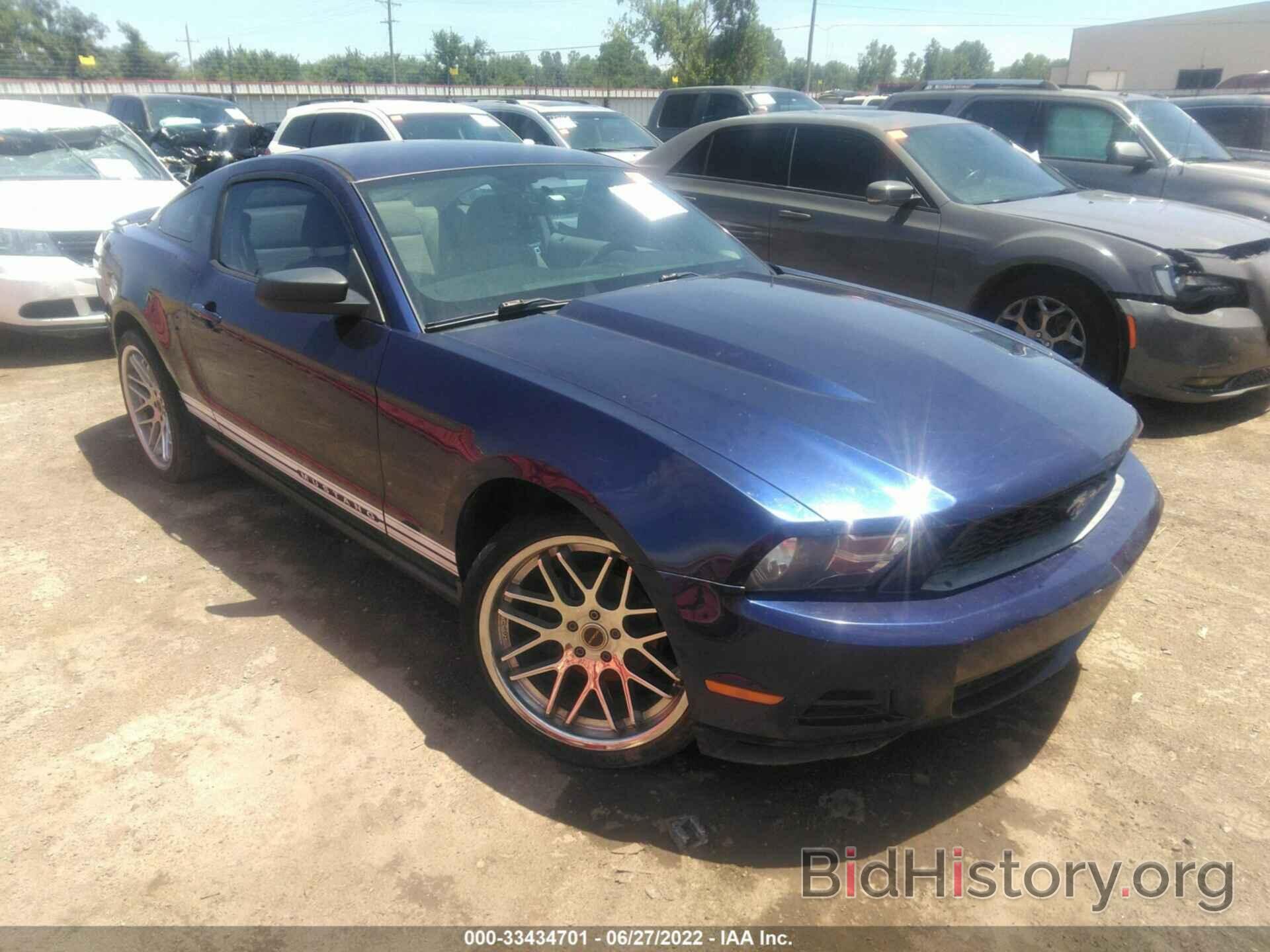 Photo 1ZVBP8AN9A5131202 - FORD MUSTANG 2010