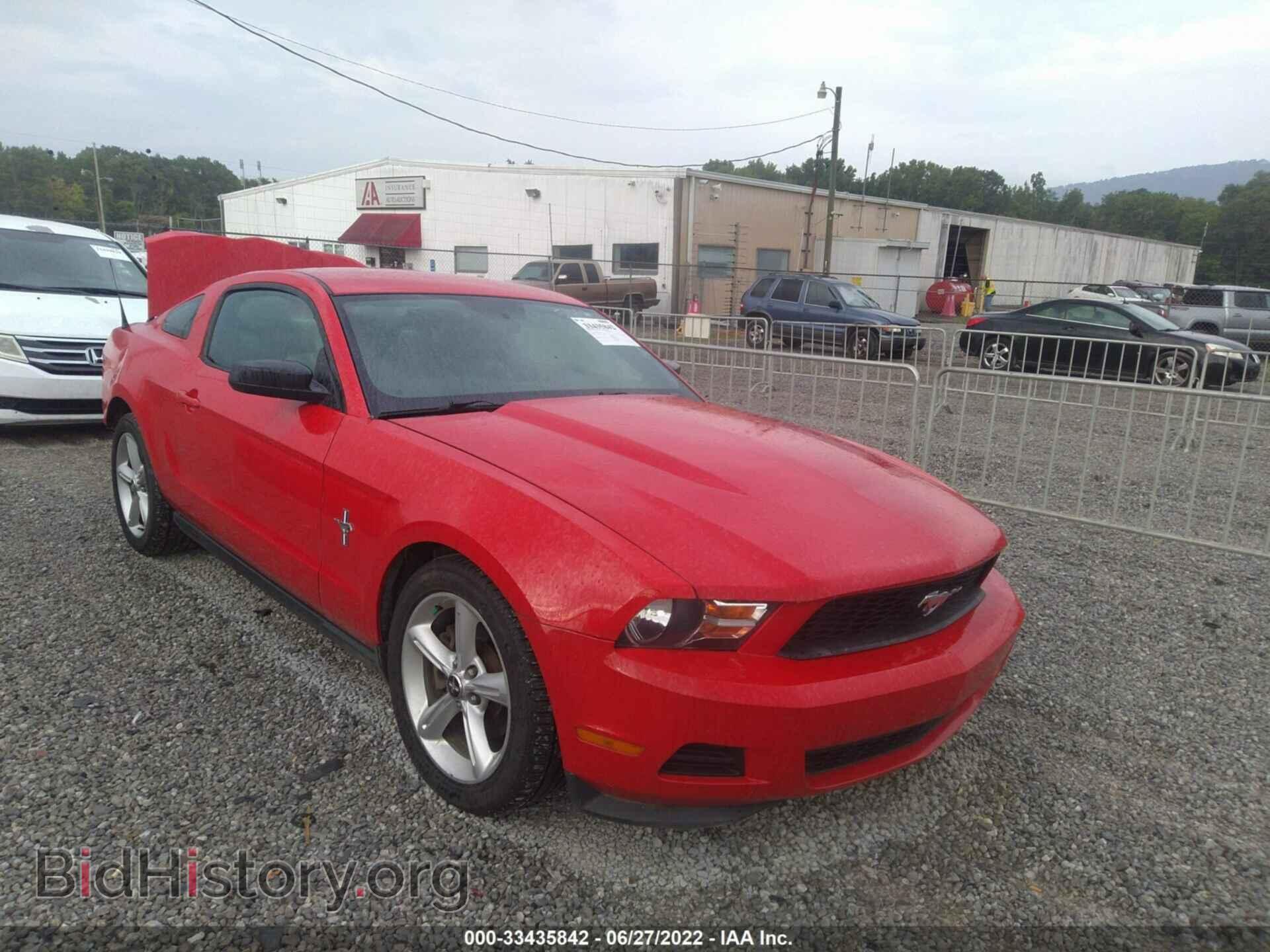 Photo 1ZVBP8AM7C5280556 - FORD MUSTANG 2012