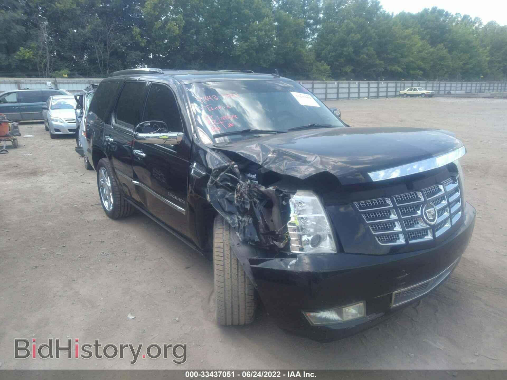 2010 CADILLAC ESCALADE - VIN: 1GYUKCEF3AR157359 - Фото 6