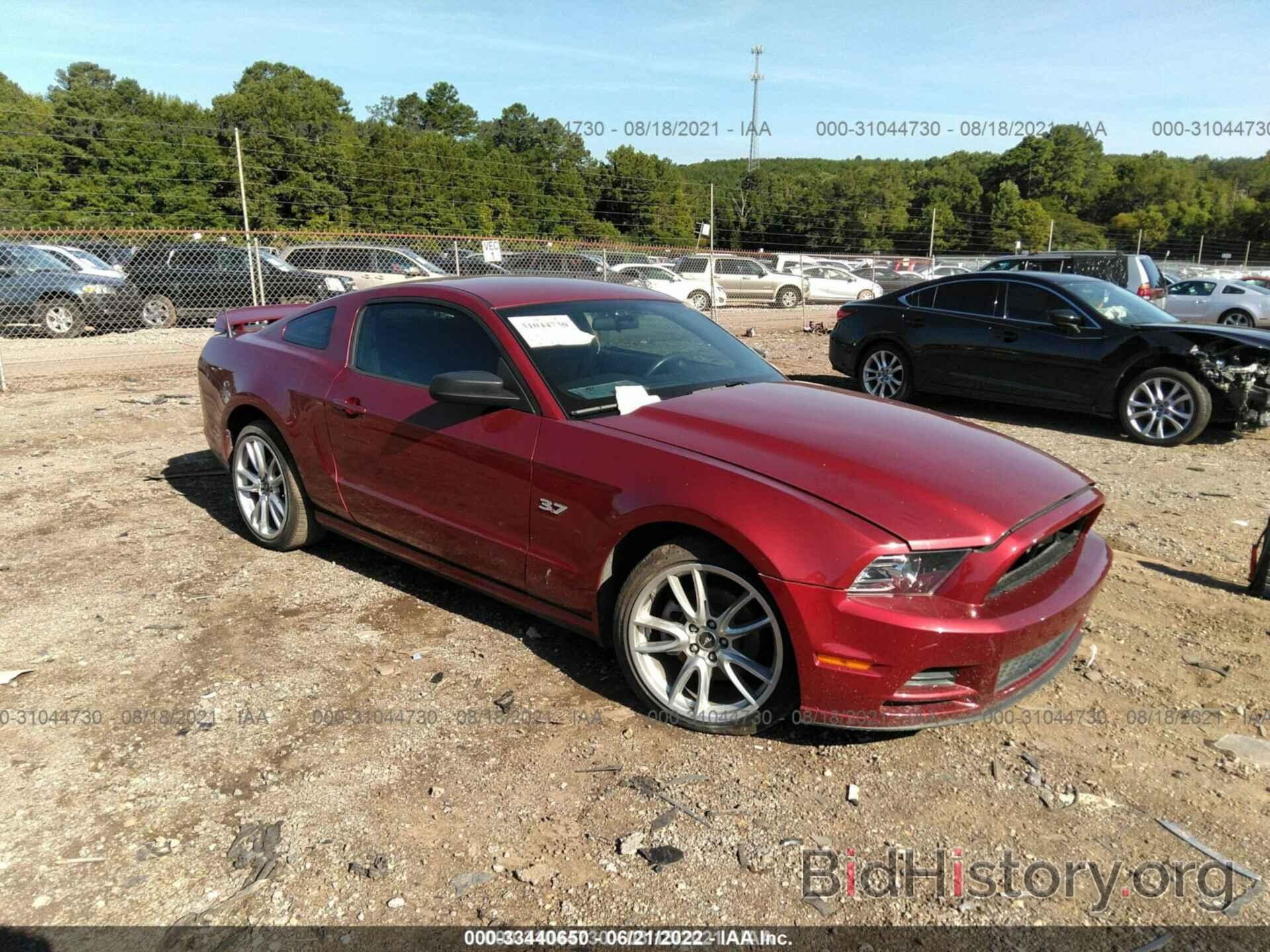 Photo 1ZVBP8AM8E5251084 - FORD MUSTANG 2014