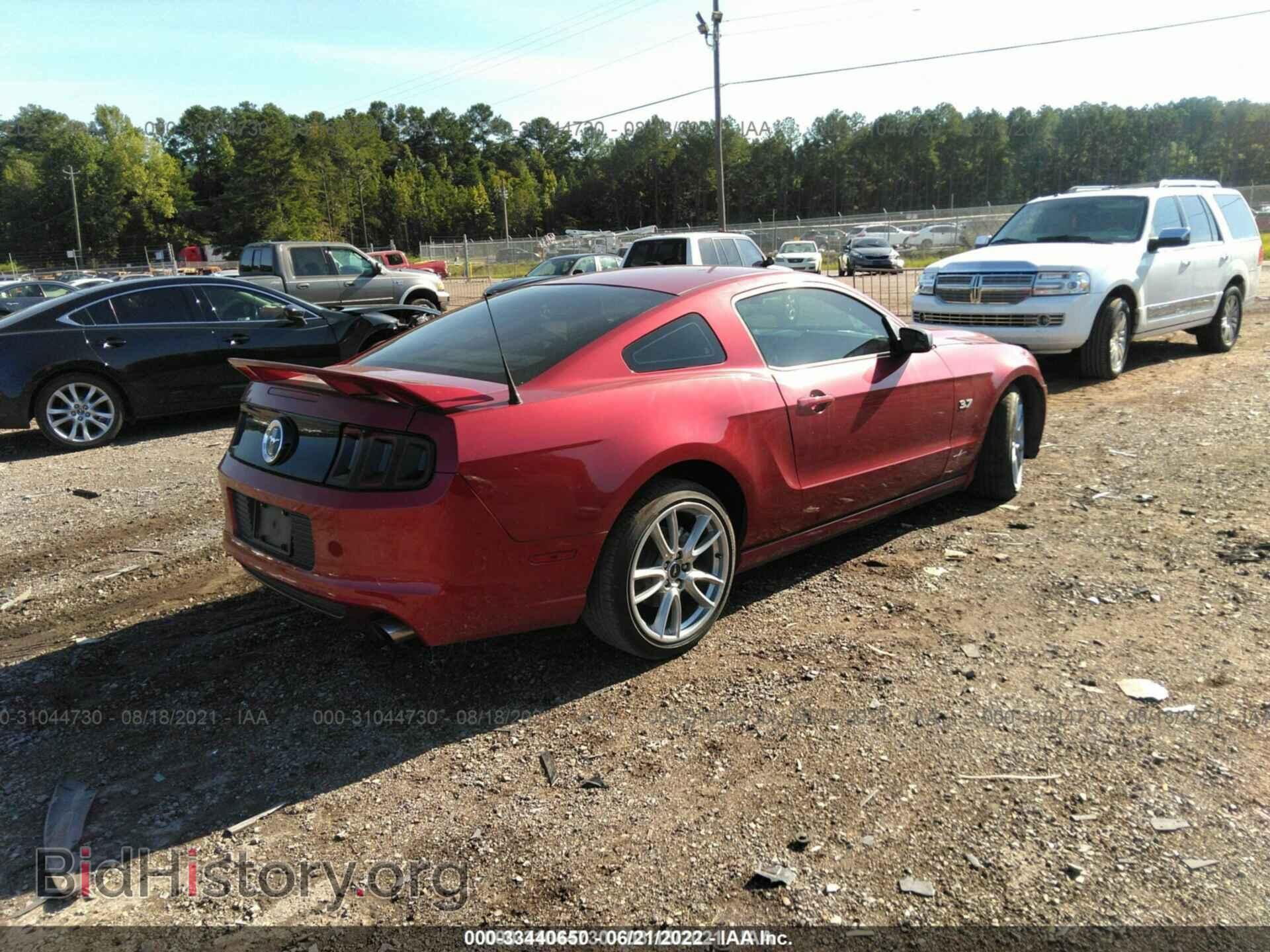 2014 FORD MUSTANG - VIN: 1ZVBP8AM8E5251084 - Фото 4