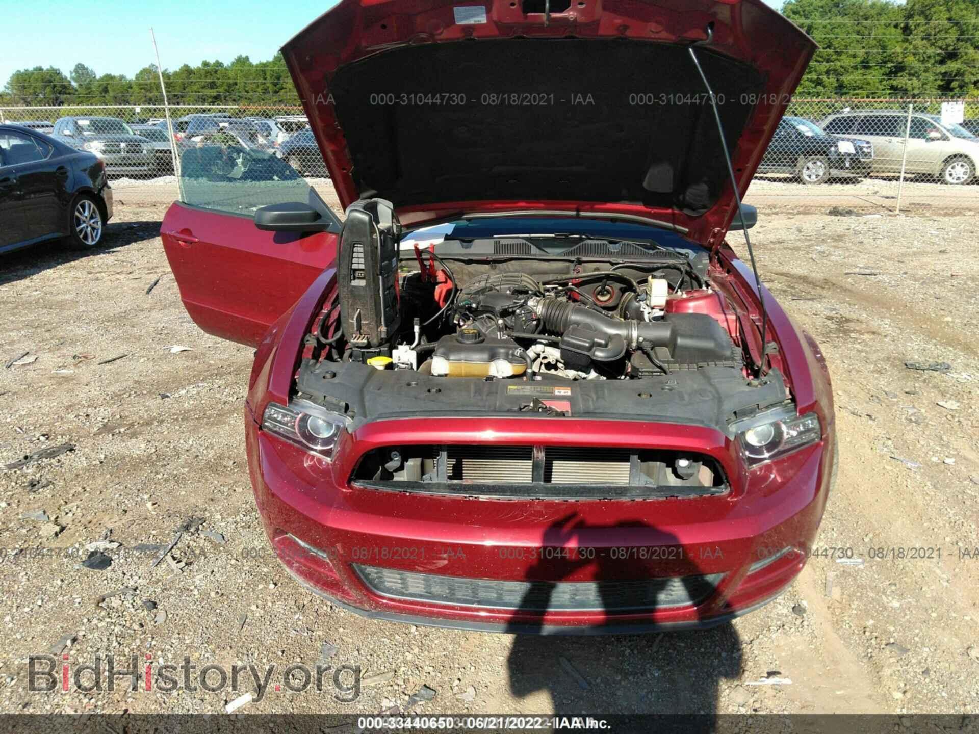 2014 FORD MUSTANG - VIN: 1ZVBP8AM8E5251084 - Фото 10