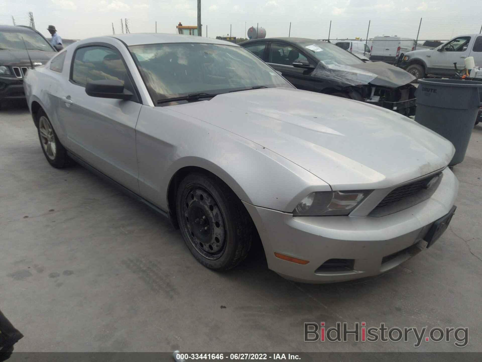 Photo 1ZVBP8AN6A5136888 - FORD MUSTANG 2010