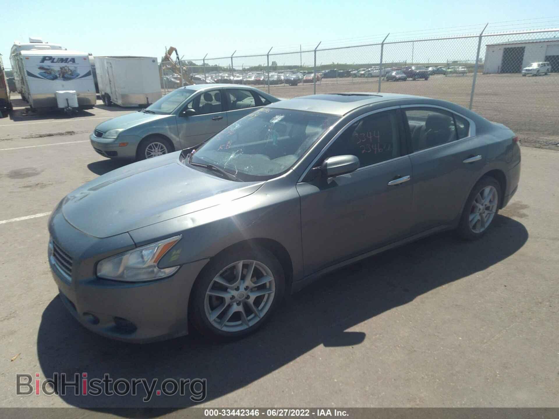 2010 NISSAN MAXIMA - VIN: 1N4AA5AP2AC873250 - Фото 2