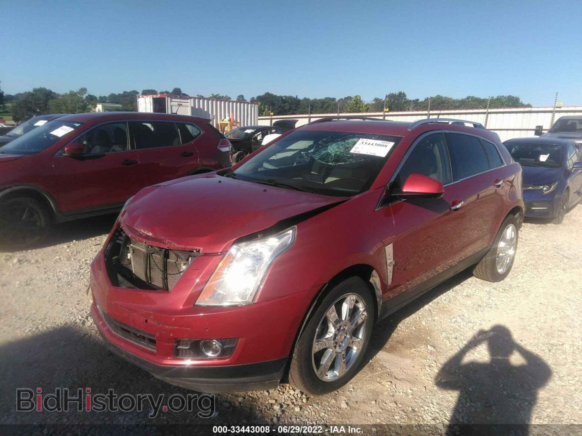 2012 CADILLAC SRX - VIN: 3GYFNBE35CS608209 - Фото 2