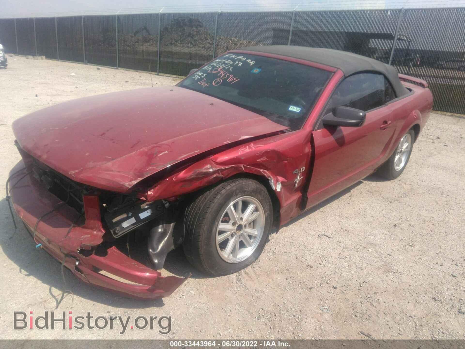 2006 FORD MUSTANG - VIN: 1ZVFT84N565172720 - Фото 2