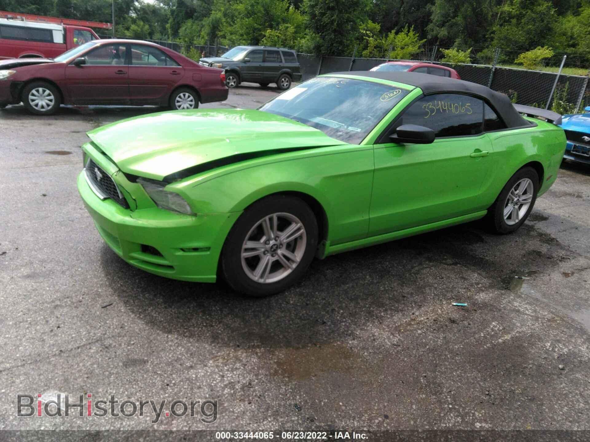 2013 FORD MUSTANG - VIN: 1ZVBP8EM0D5224552 - Фото 2