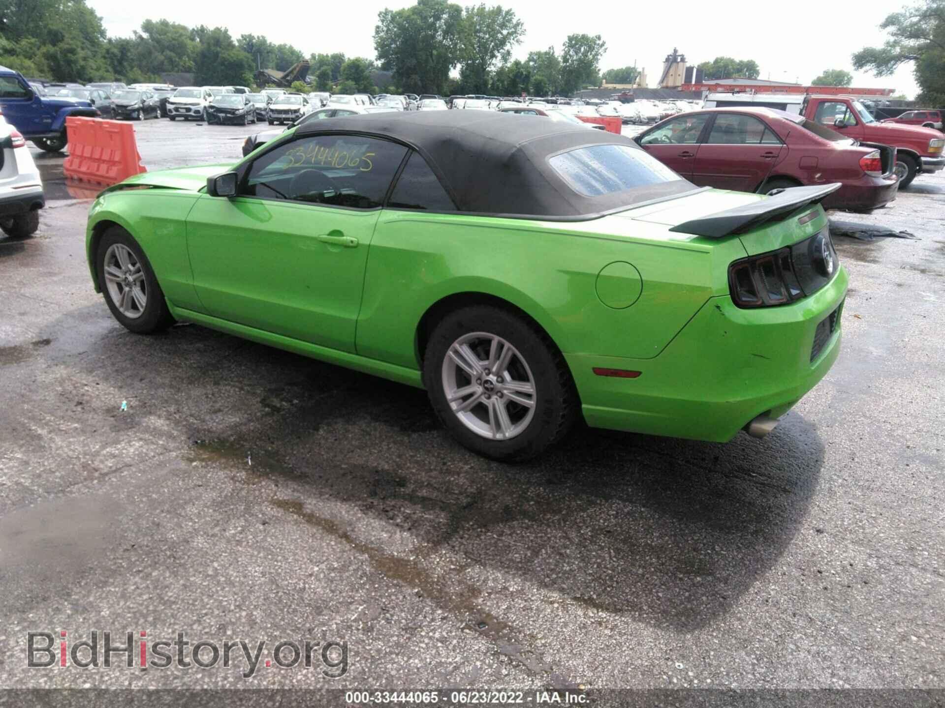 2013 FORD MUSTANG - VIN: 1ZVBP8EM0D5224552 - Фото 3