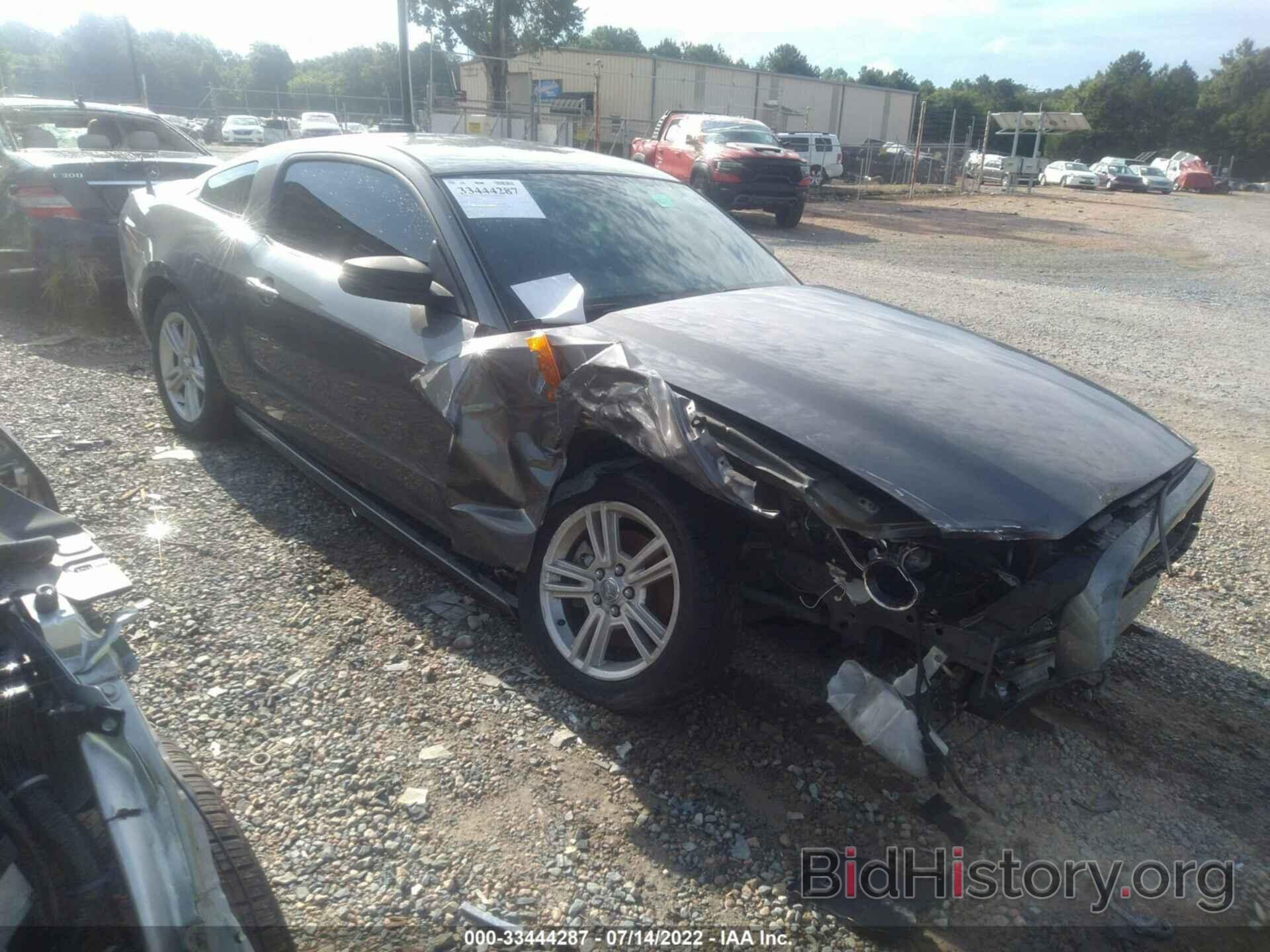 Photo 1ZVBP8AM5E5212873 - FORD MUSTANG 2014