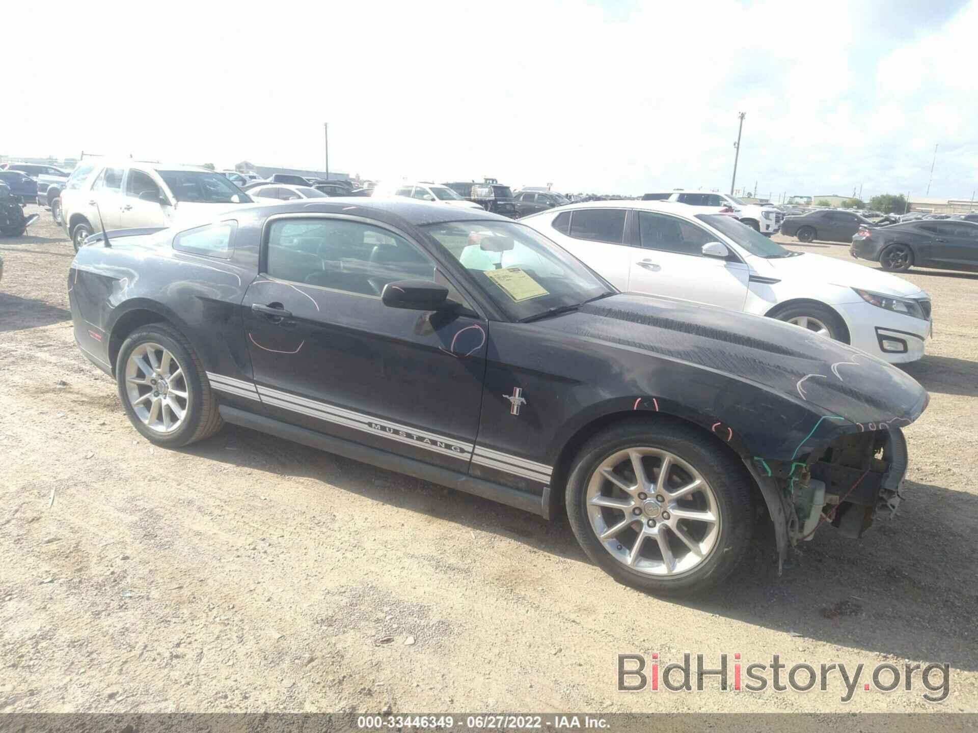 Photo 1ZVBP8AN4A5123492 - FORD MUSTANG 2010
